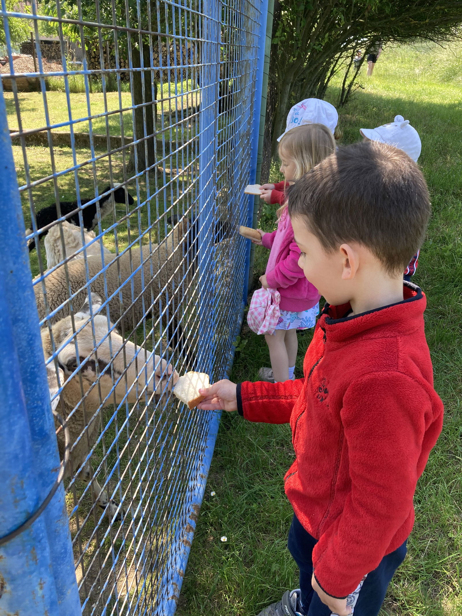 D5EB9501-1A73-42C8-827E-65C51111F6D3