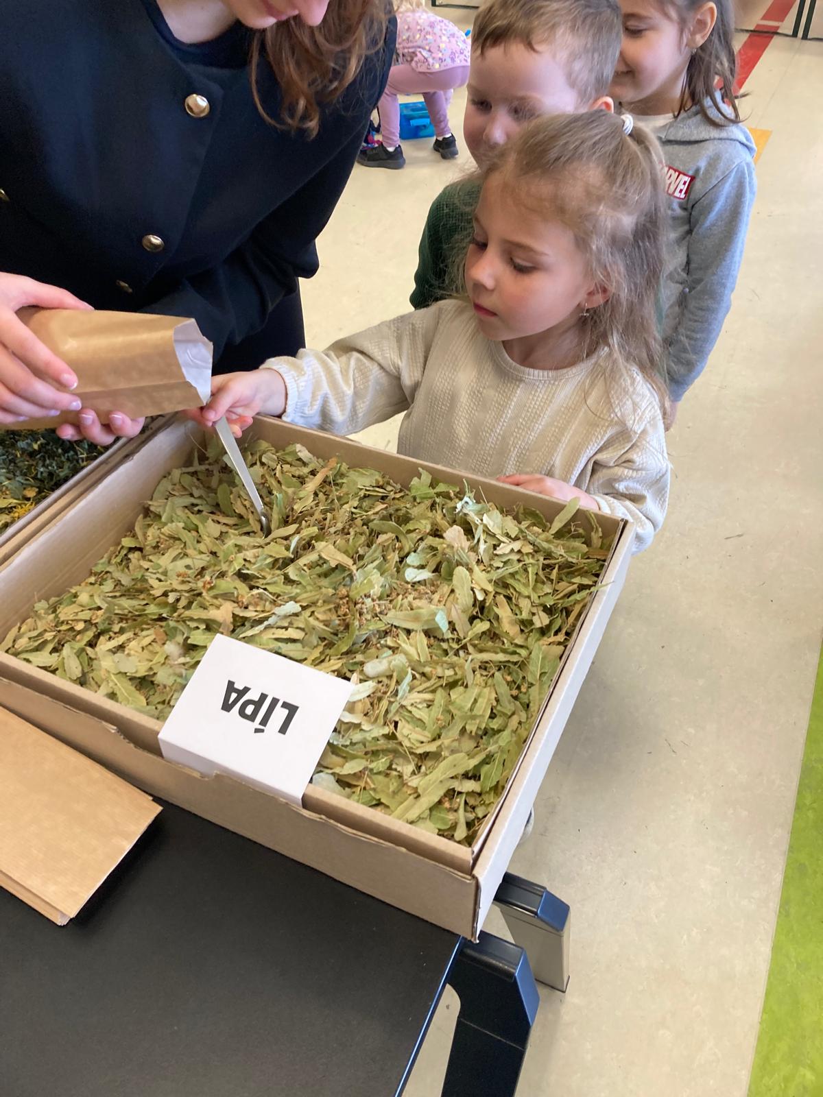 WhatsApp Image 2026-03-18 at 20.02.04 (8)