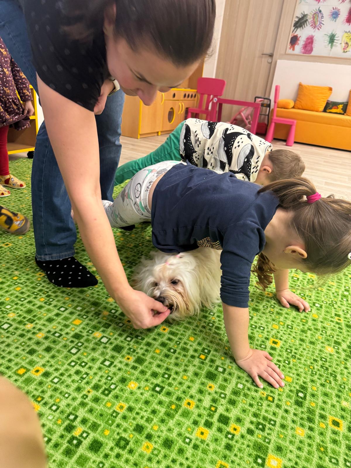 Obrázek WhatsApp, 2024-11-14 v 08.01.09_3dceaca9