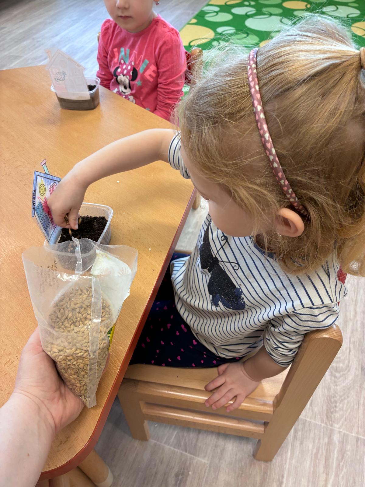 WhatsApp Image 2026-03-28 at 20.50.39 (2)