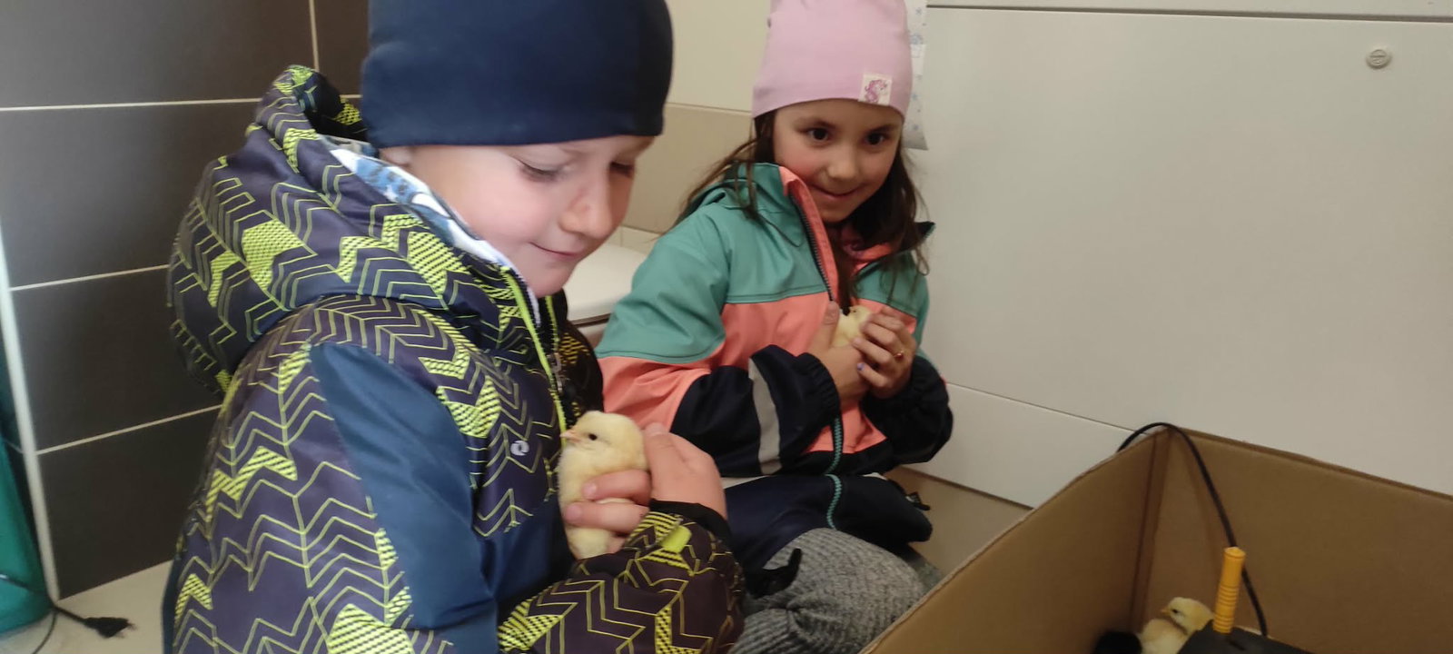 90670798-6521-447e-8cc1-119c68a9de37