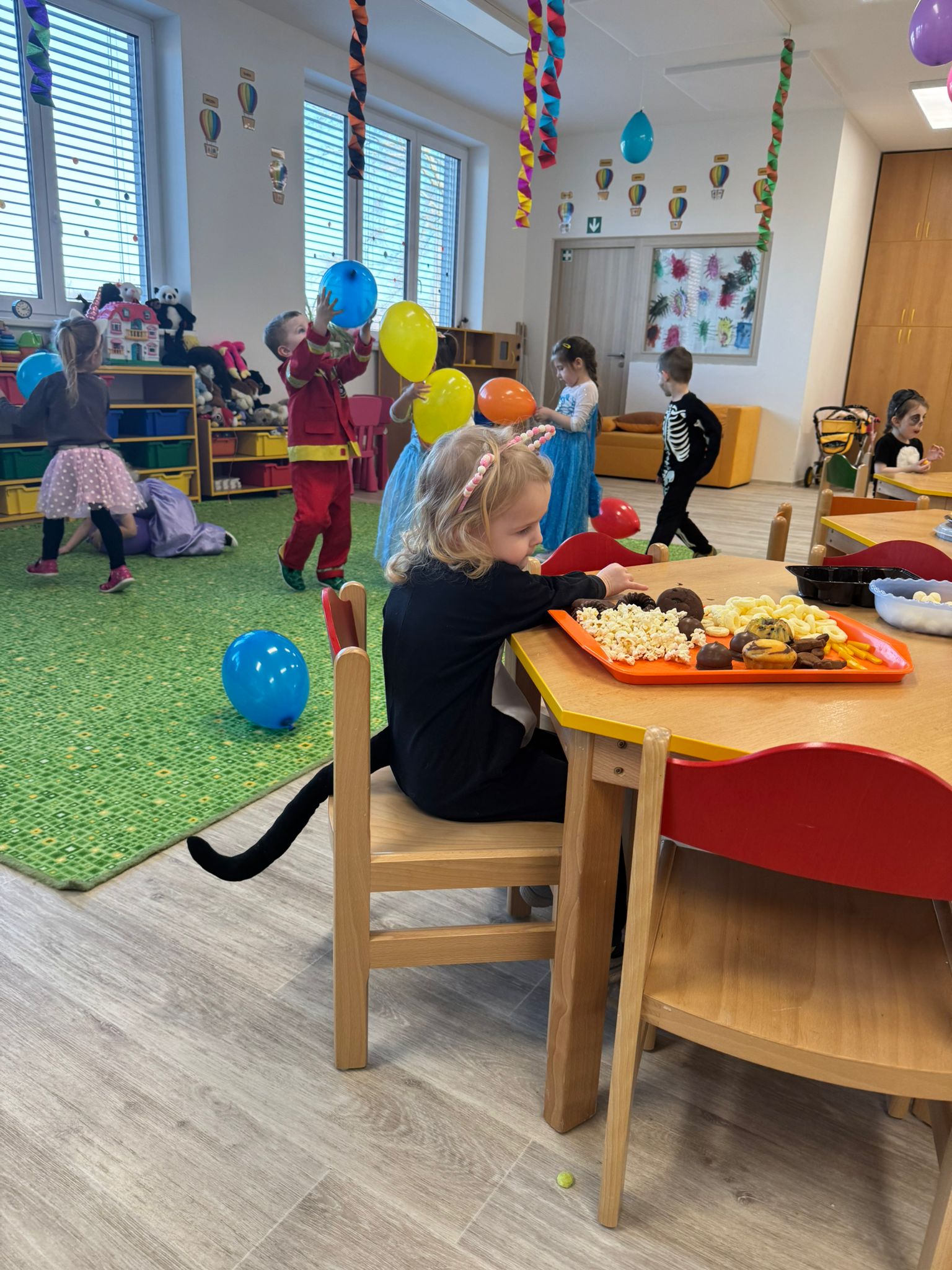 Obrázek WhatsApp, 2025-02-11 v 16.29.11_52b2517c