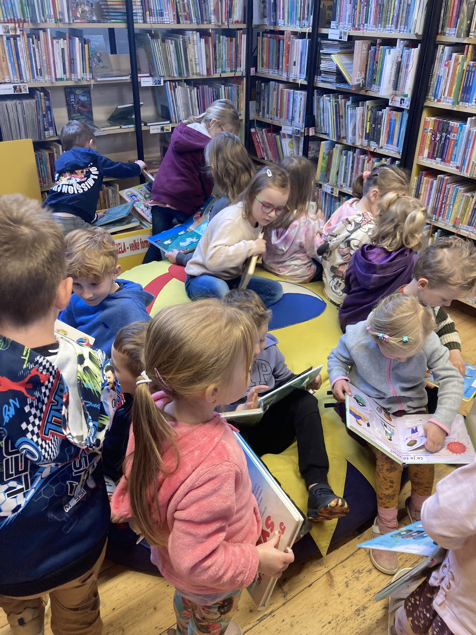 knihovna 2025 5