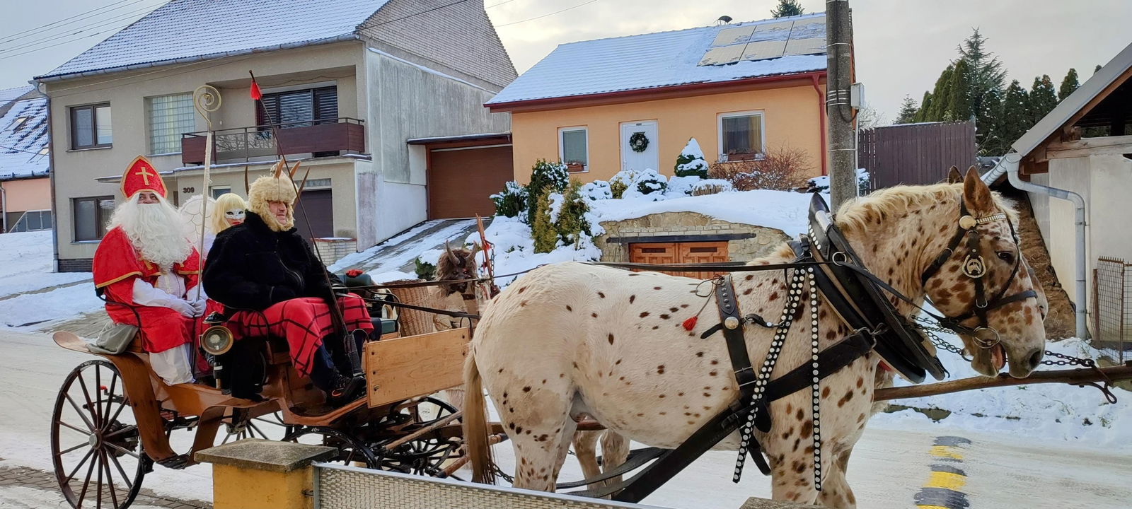 IMG_20231205_143052~2