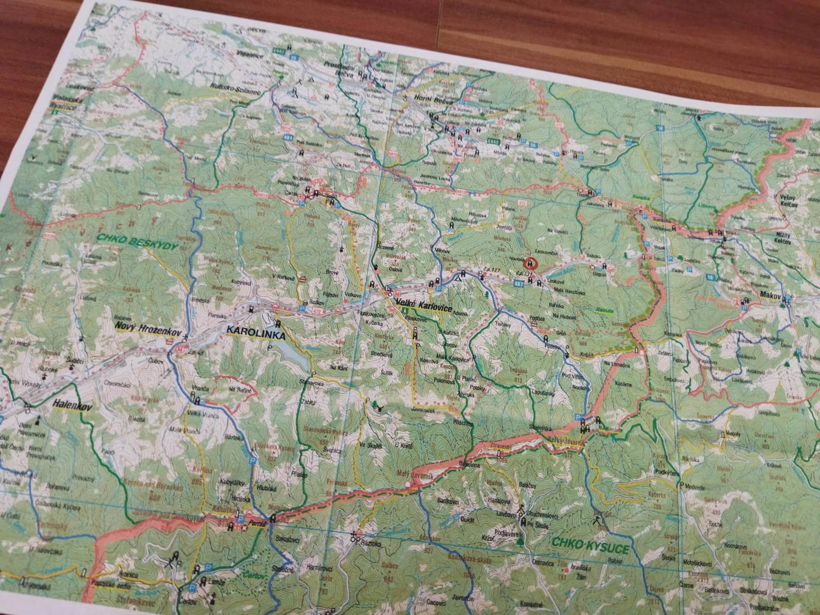 353123157_950032216304275_3792929647061275181_n