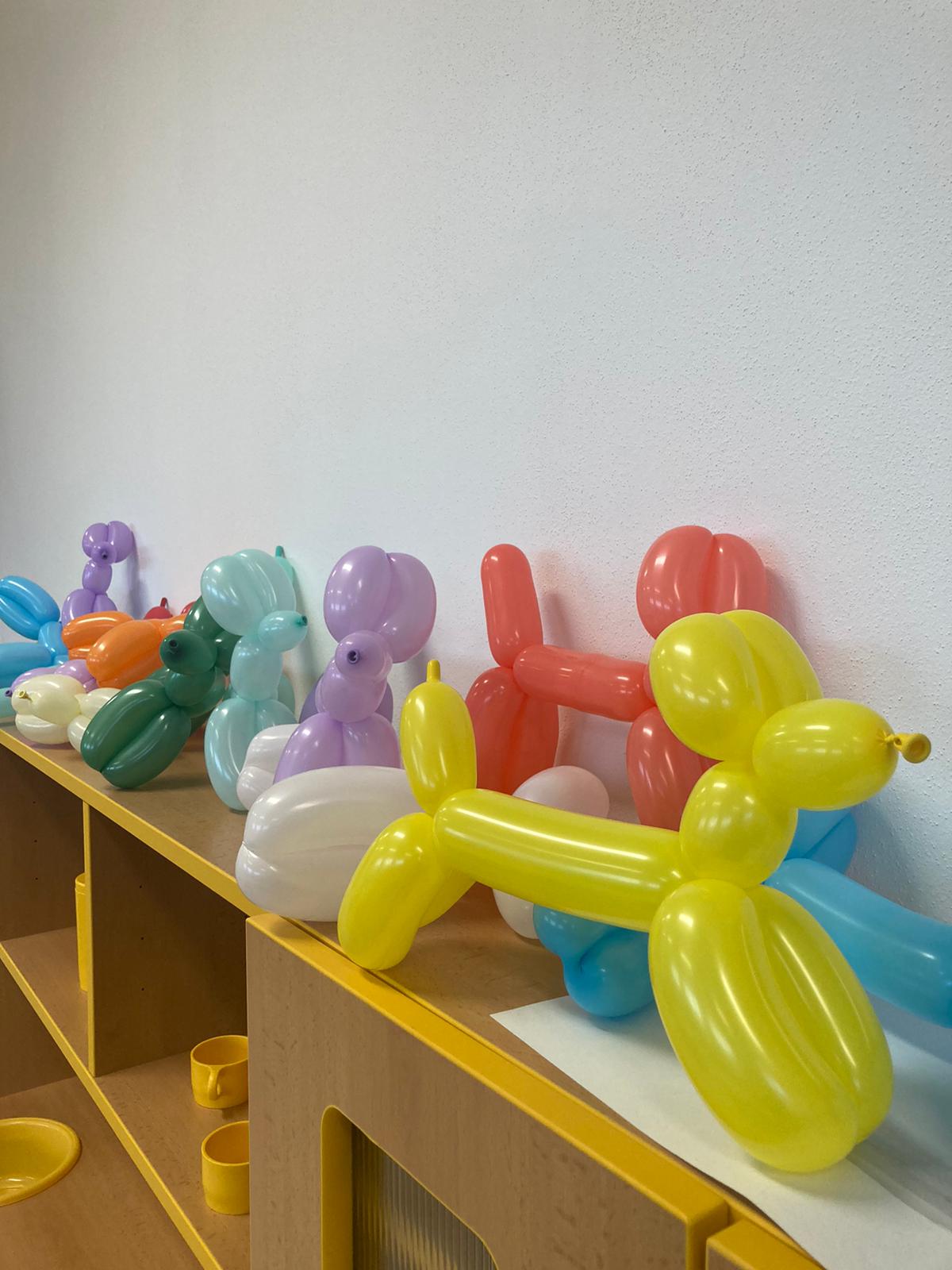 PHOTO-2023-02-22-07-22-12