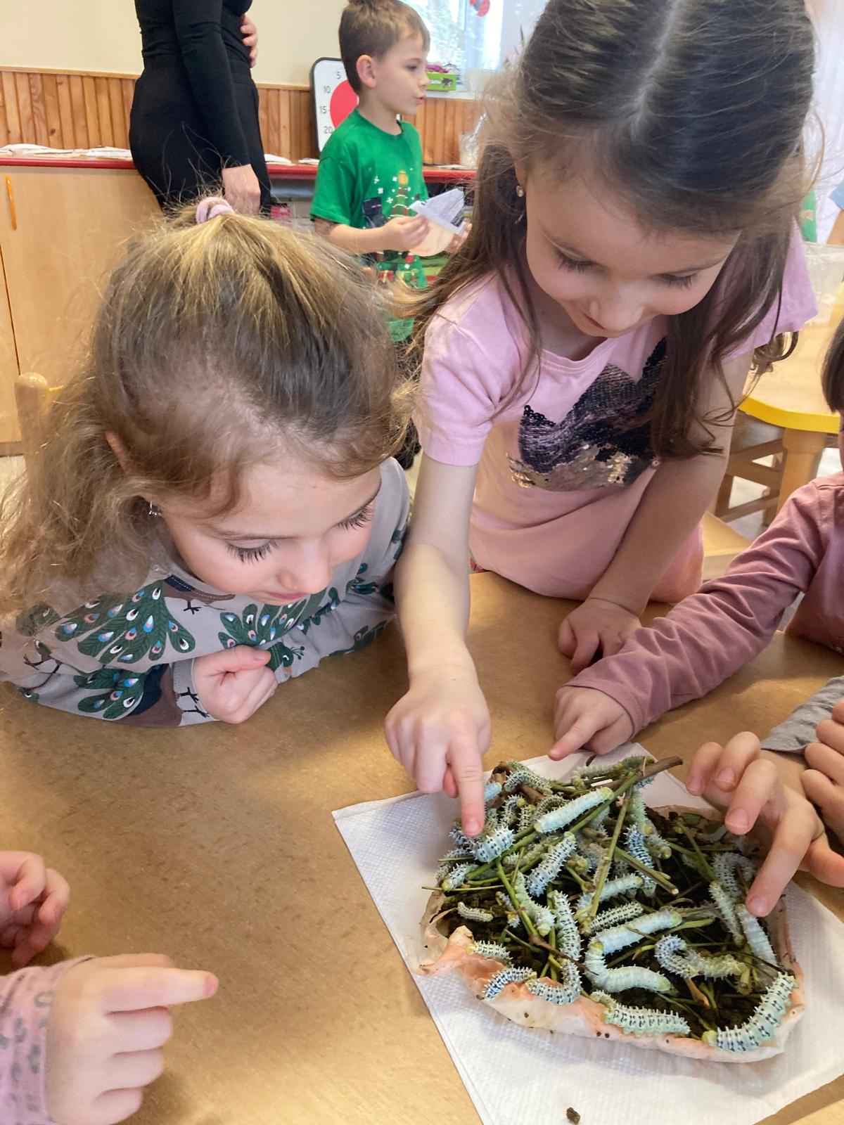 WhatsApp Image 2026-03-01 at 19.58.41