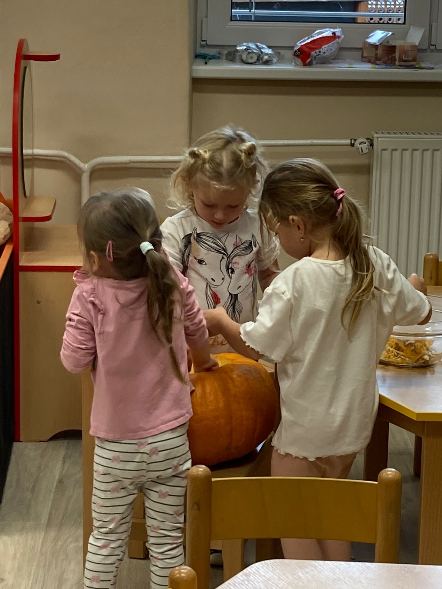 Obrázek WhatsApp, 2025-11-24 v 17.06.31_718982d0