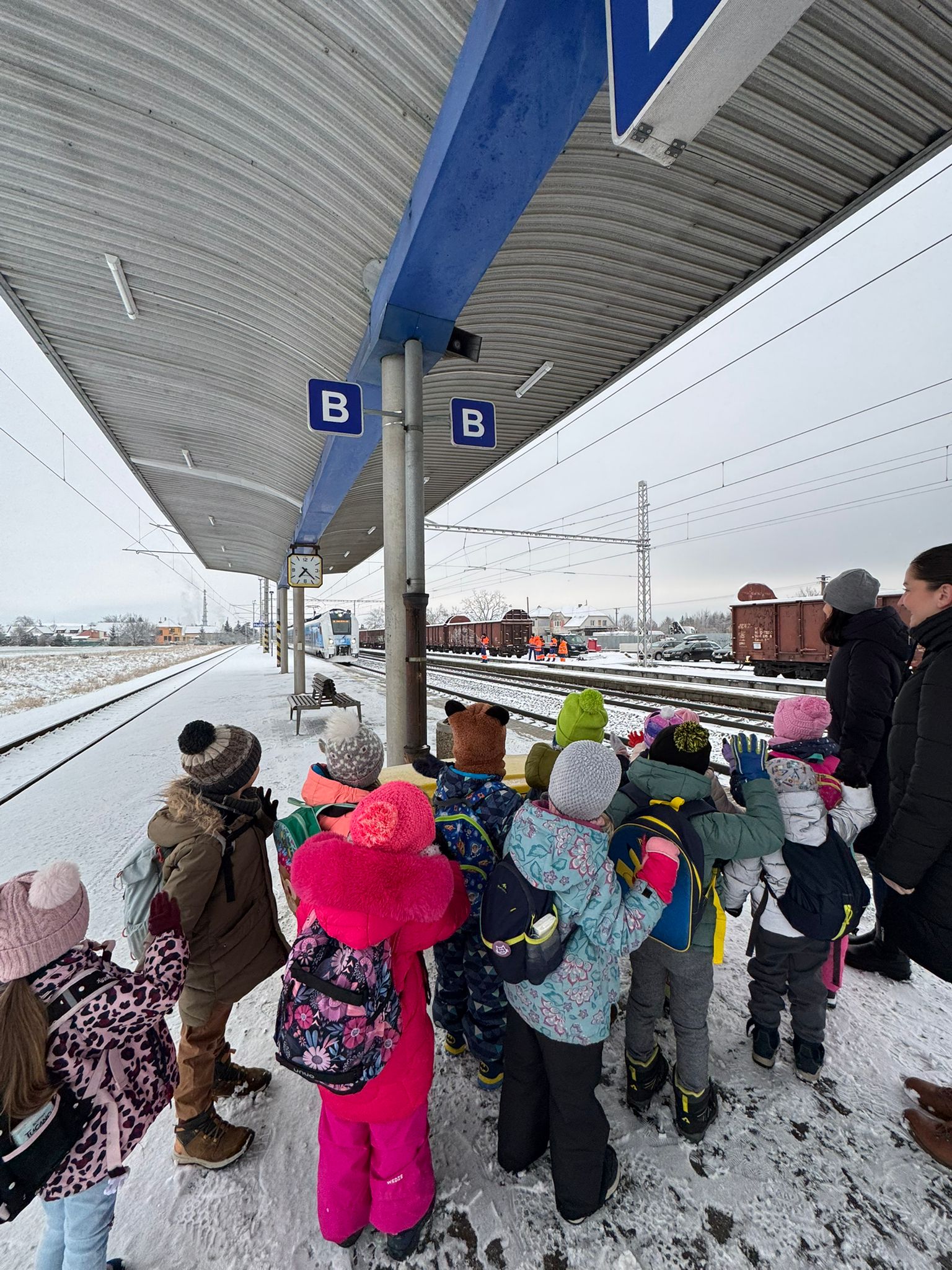 WhatsApp Image 2026-02-17 at 11.33.37 (1)