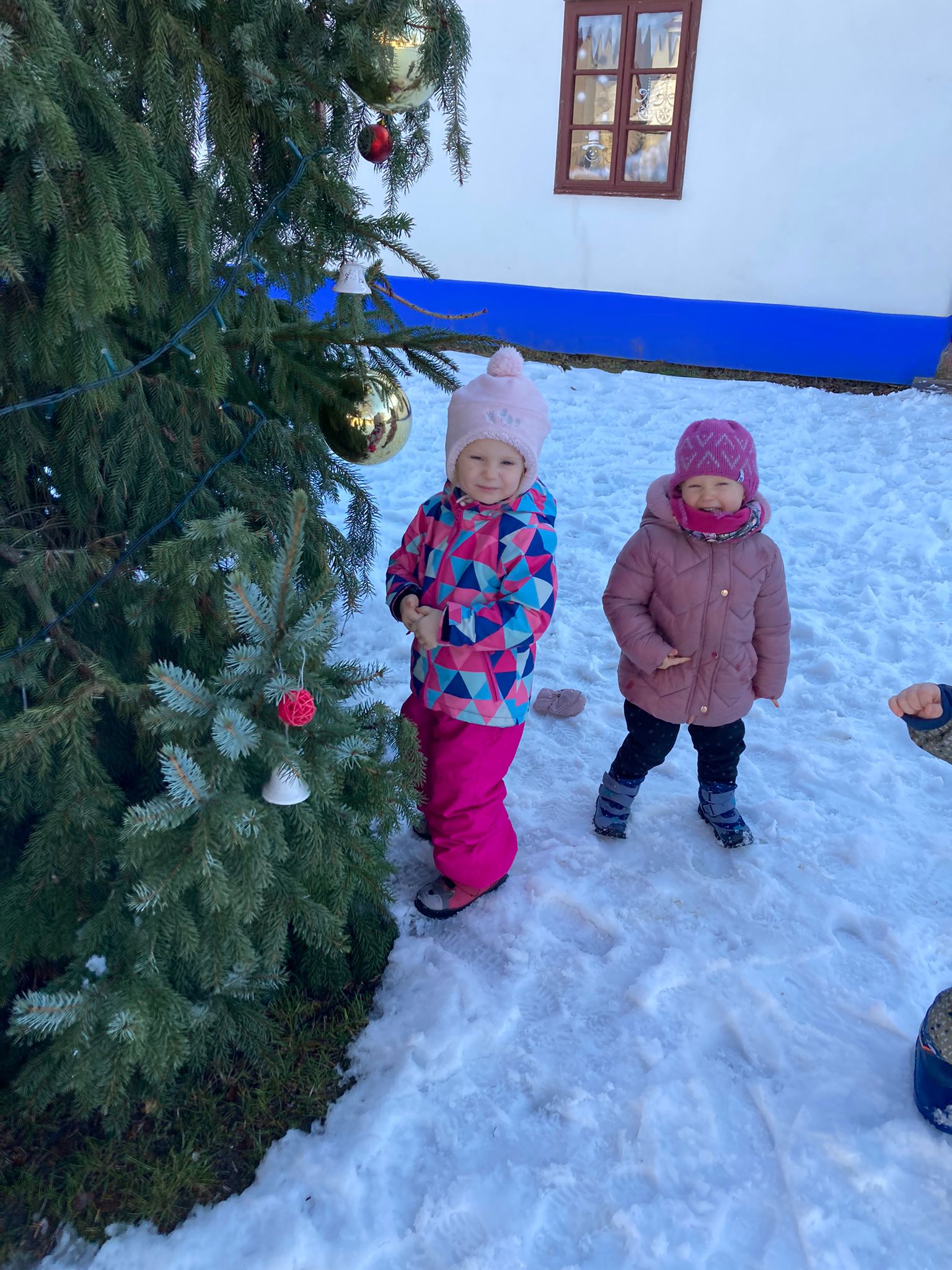 Obrázek WhatsApp, 2023-12-11 v 13.14.26_ee322fb6