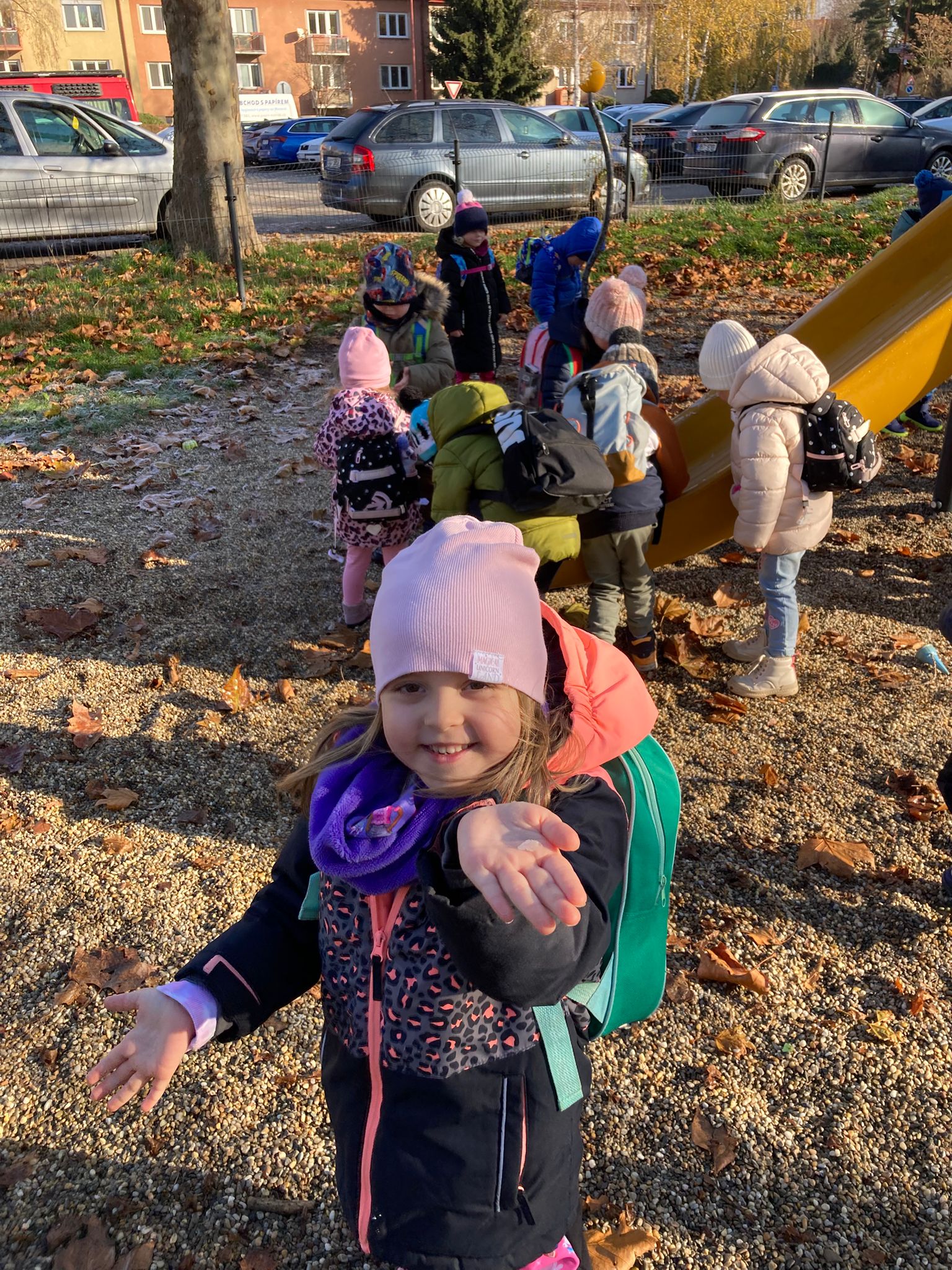 Obrázek WhatsApp, 2025-11-24 v 12.17.48_ac31c133