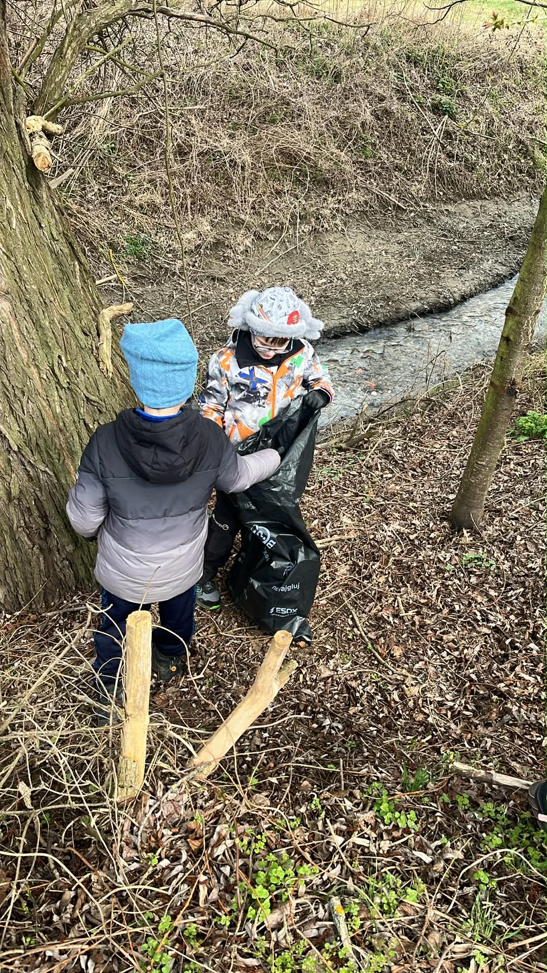 165d2841-93b3-4c75-bd9b-fd6c3d0bf12d