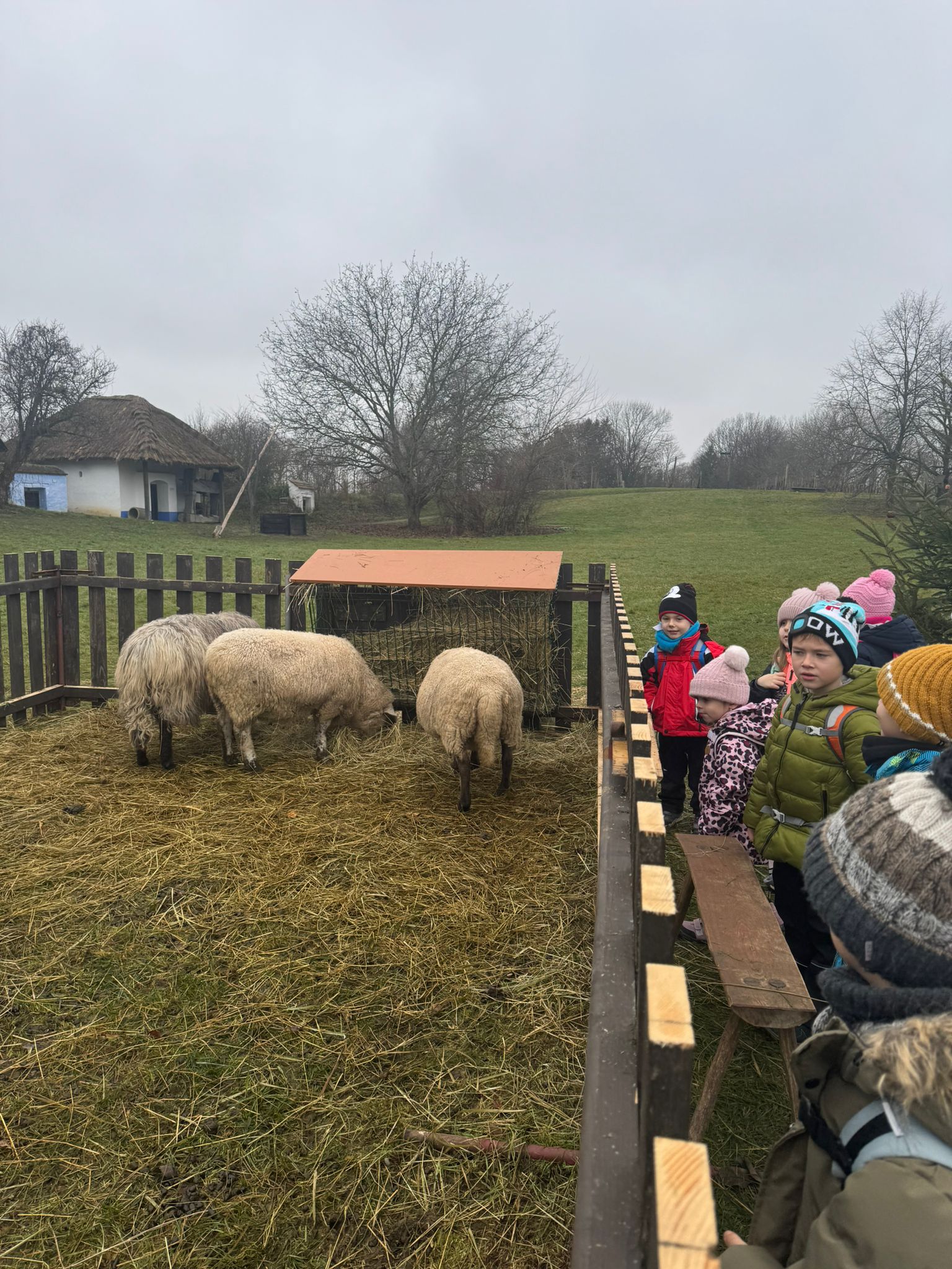 Obrázek WhatsApp, 2025-12-02 v 05.43.59_723b9678