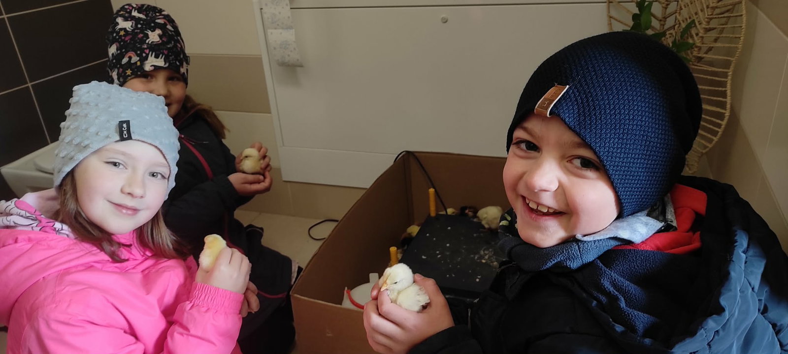 a5dcbbd6-c4c0-4b2c-aa85-4b9bbba07522