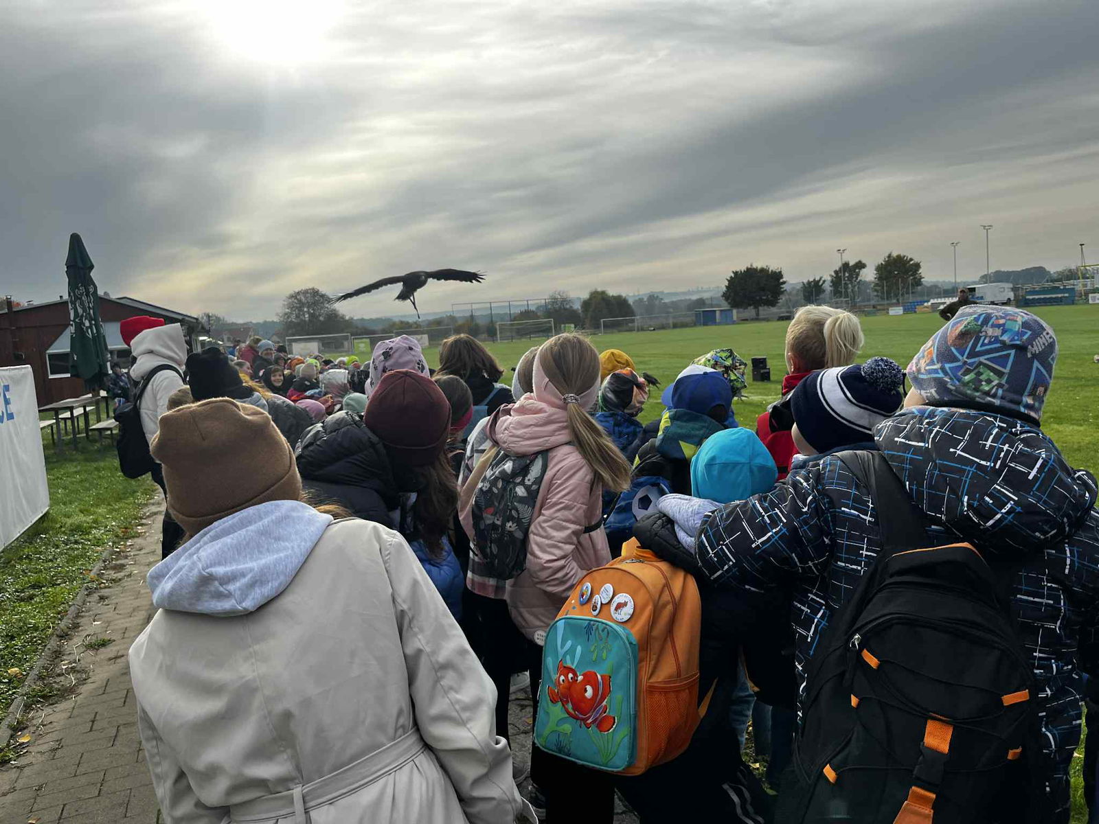 184f640f-9804-41af-8ec1-c8d1b8e50703