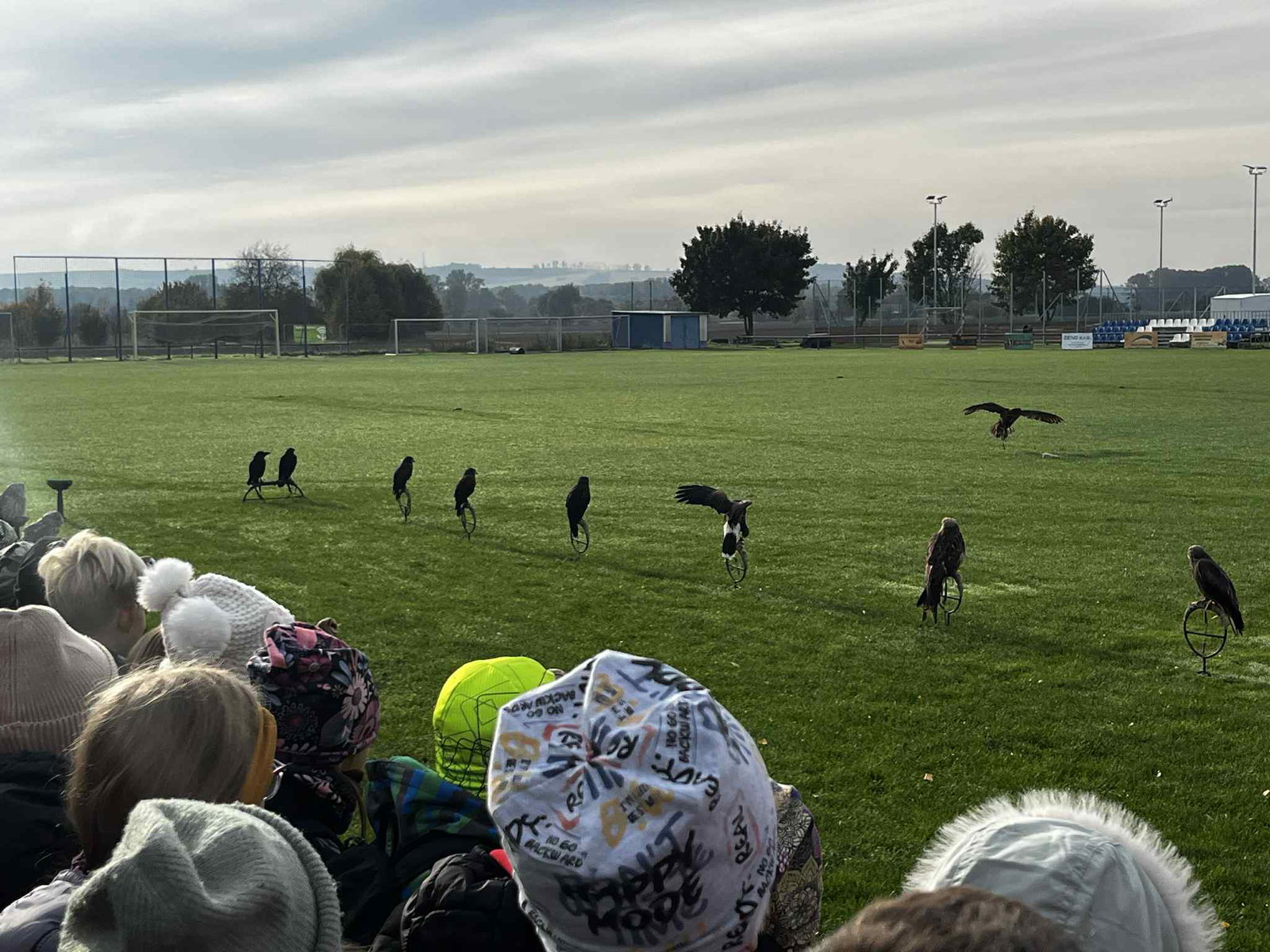 2b95b555-adc0-487c-9206-55ba5e343ae3