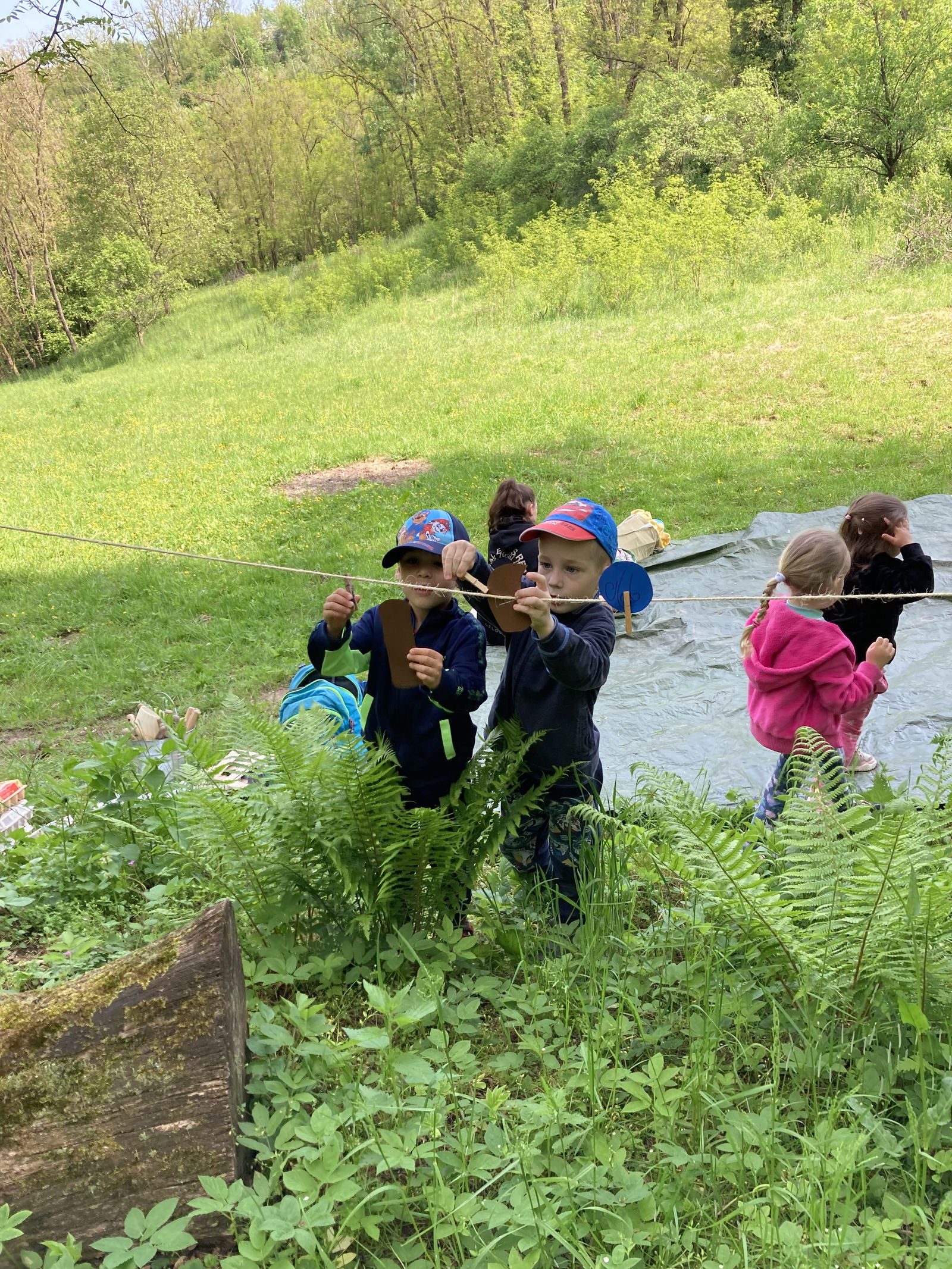 9A391FE9-8204-4D2A-A6D8-473D219A20E2