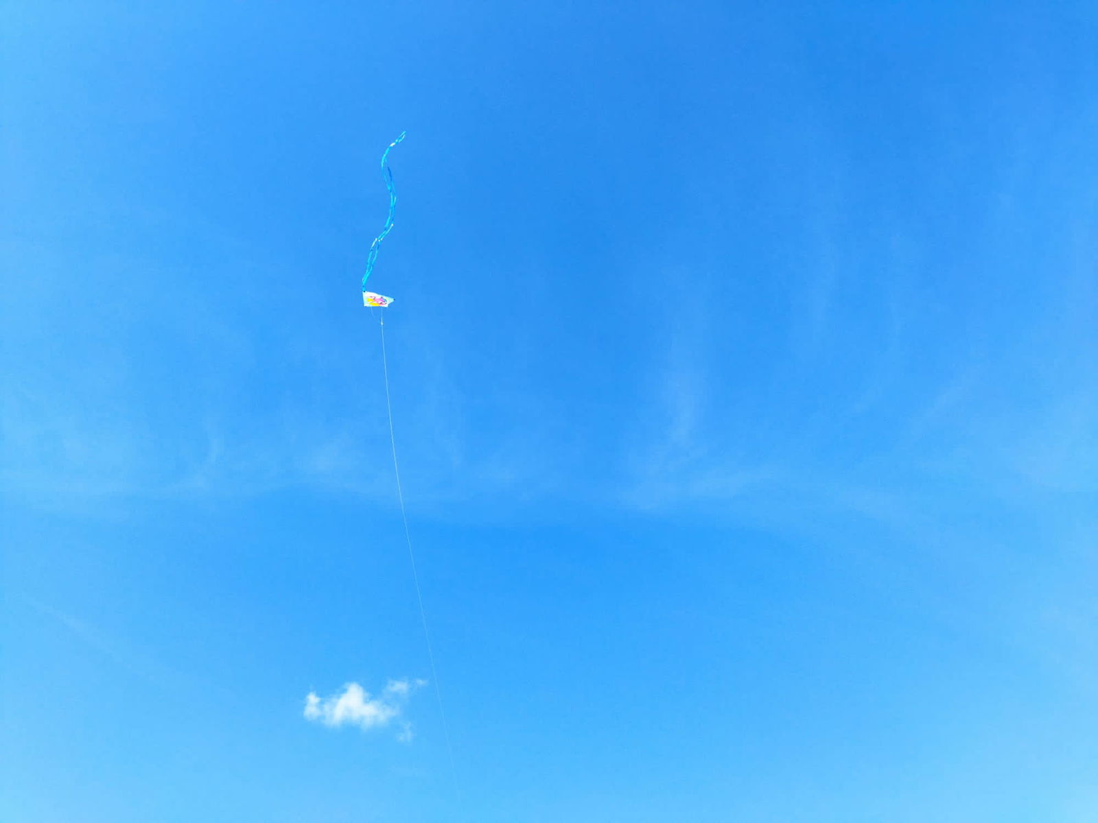 e1cc13d7-c78a-481f-ac98-7f150001d5e1