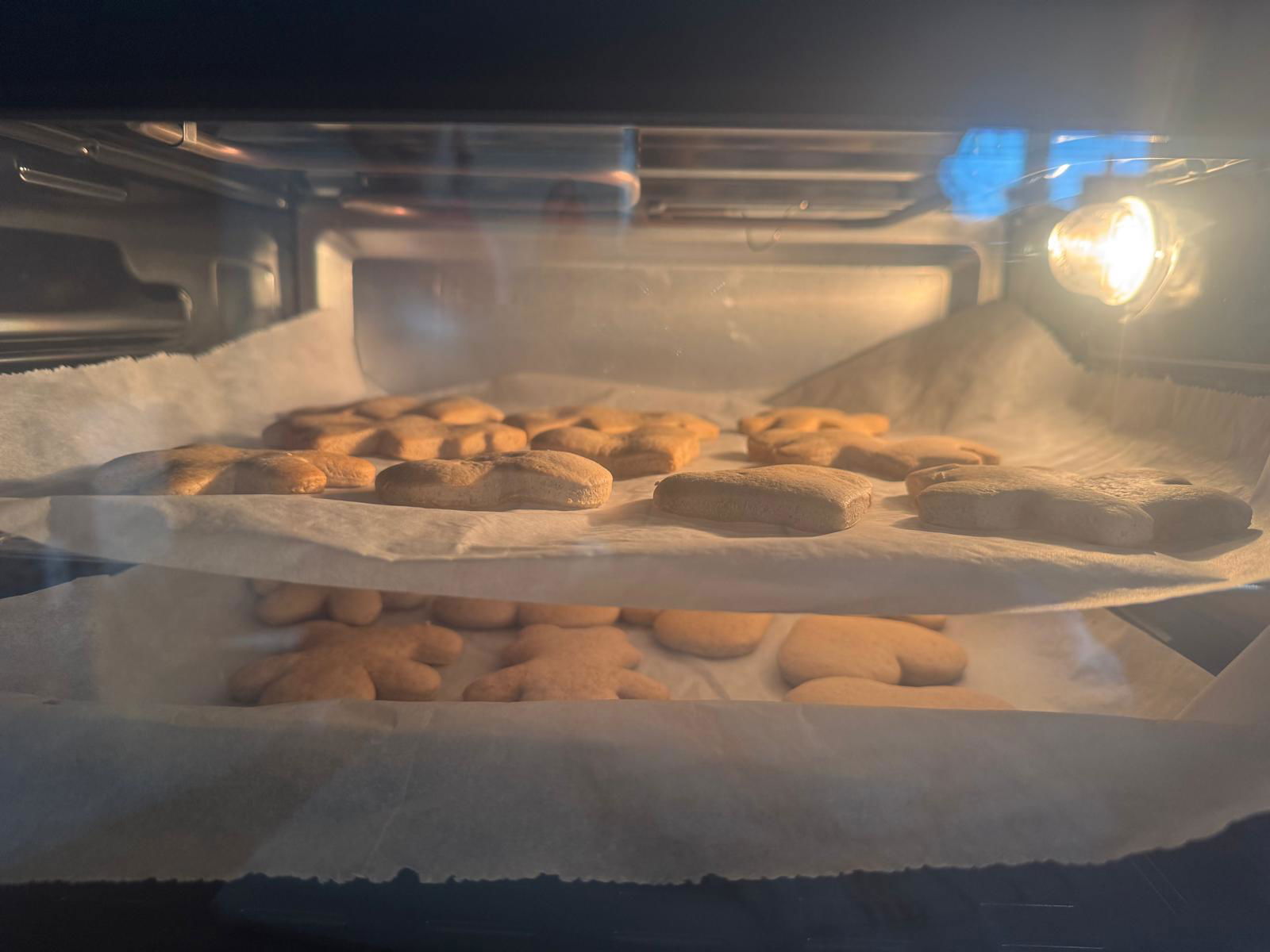 Obrázek WhatsApp, 2024-12-18 v 11.57.50_5951b1c3