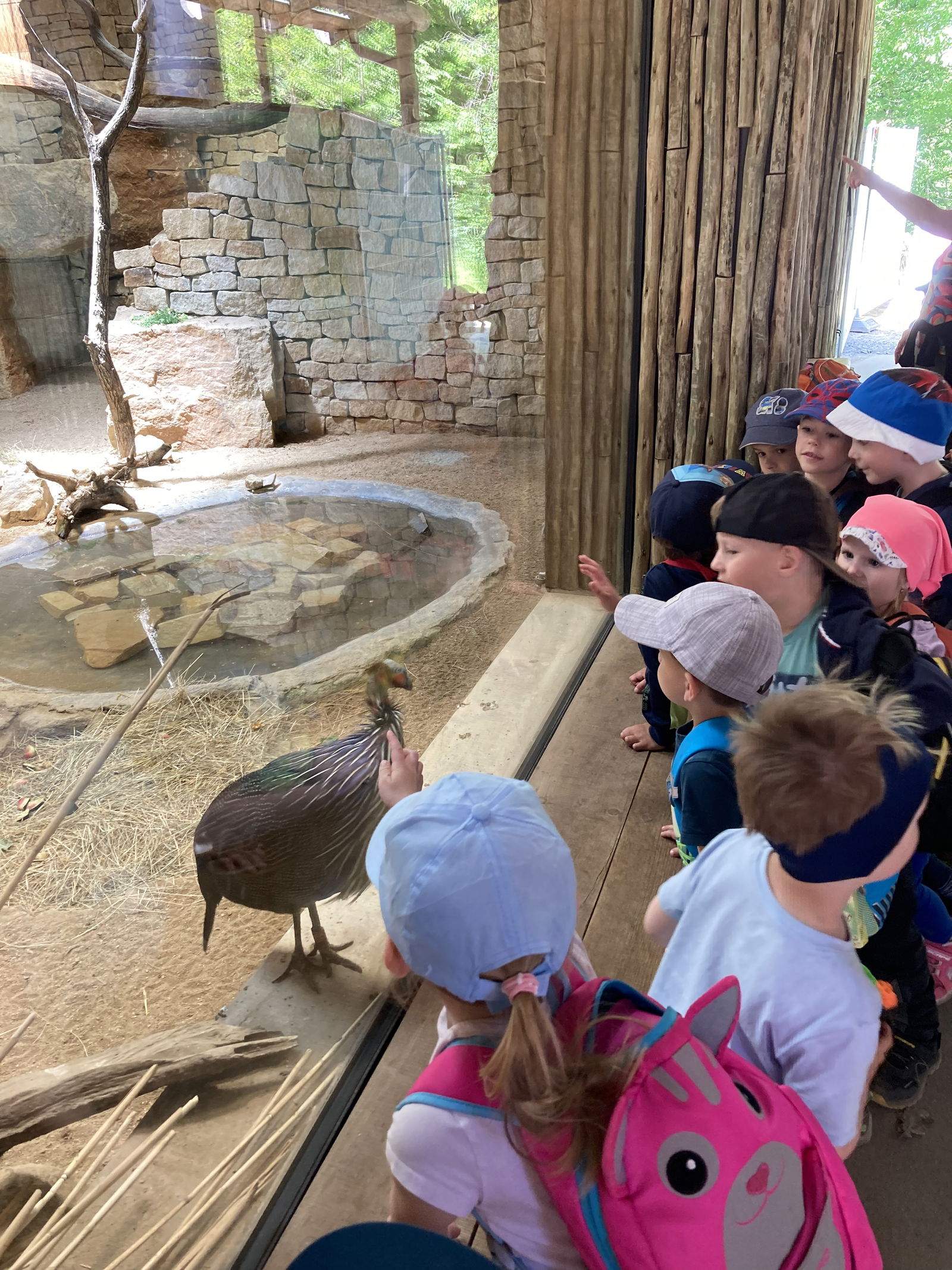 DAD63650-EE8D-43F2-983E-4878840DE737