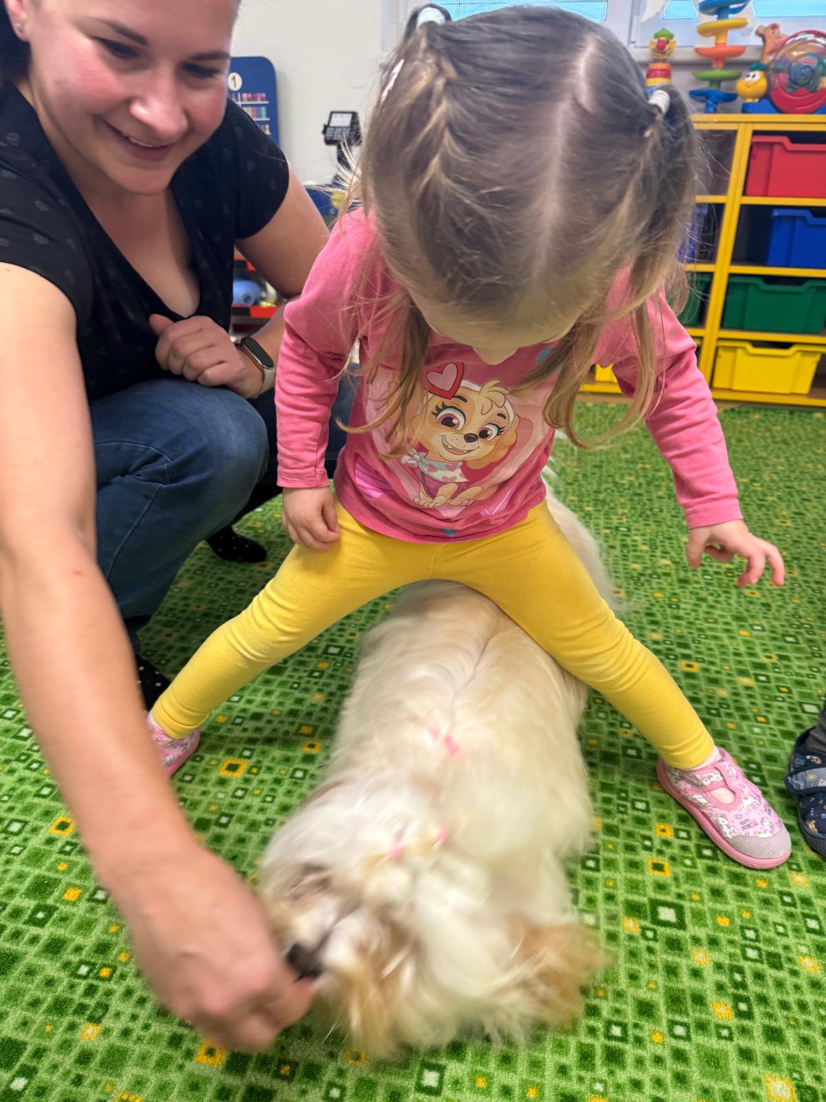 Obrázek WhatsApp, 2024-11-14 v 08.01.09_be504c64