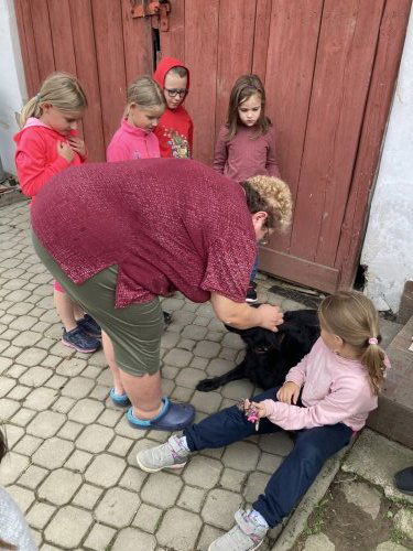 9a108d38d76344953b7c6522188c11b2