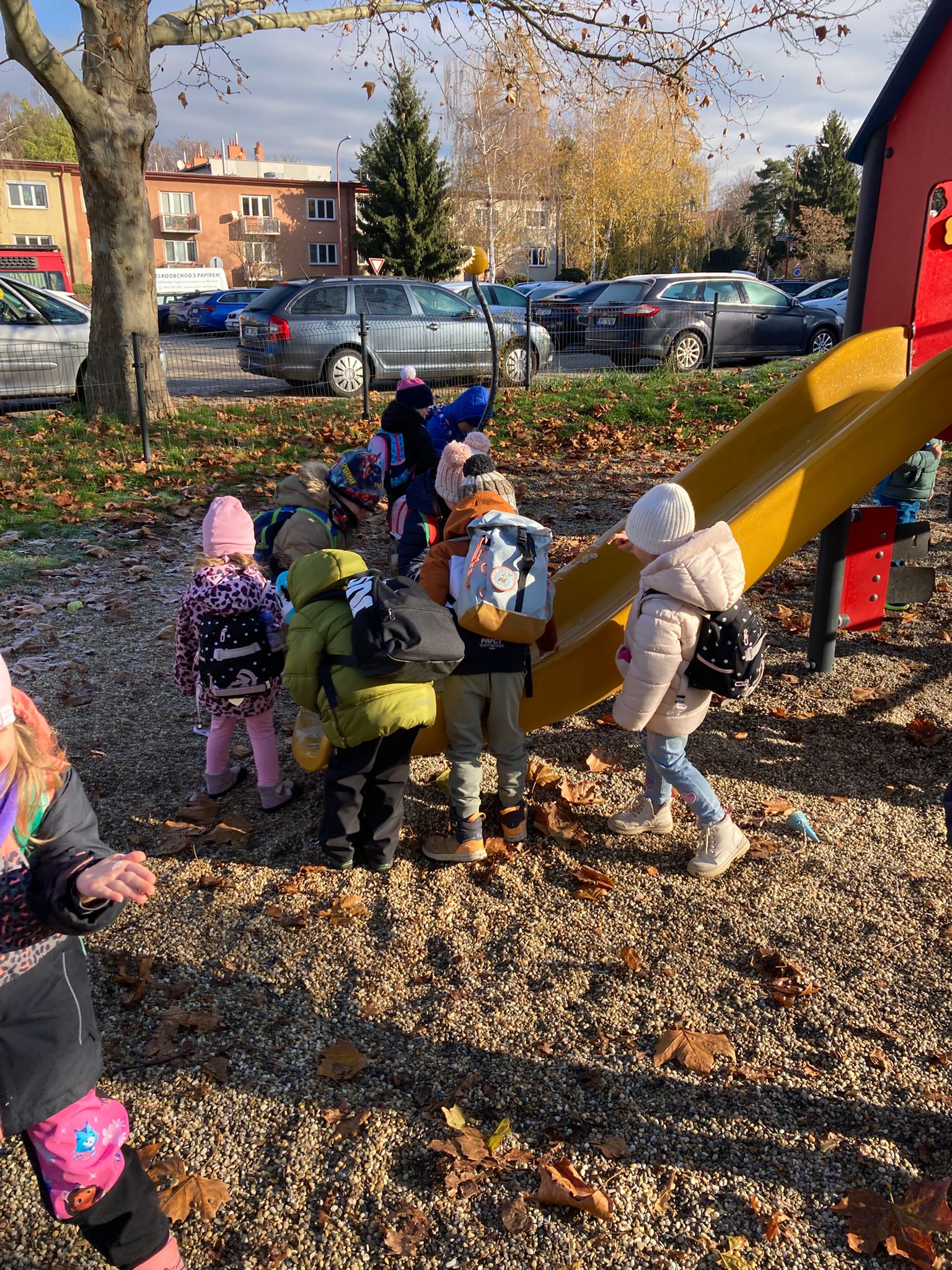 Obrázek WhatsApp, 2025-11-24 v 12.17.48_35a1b15f