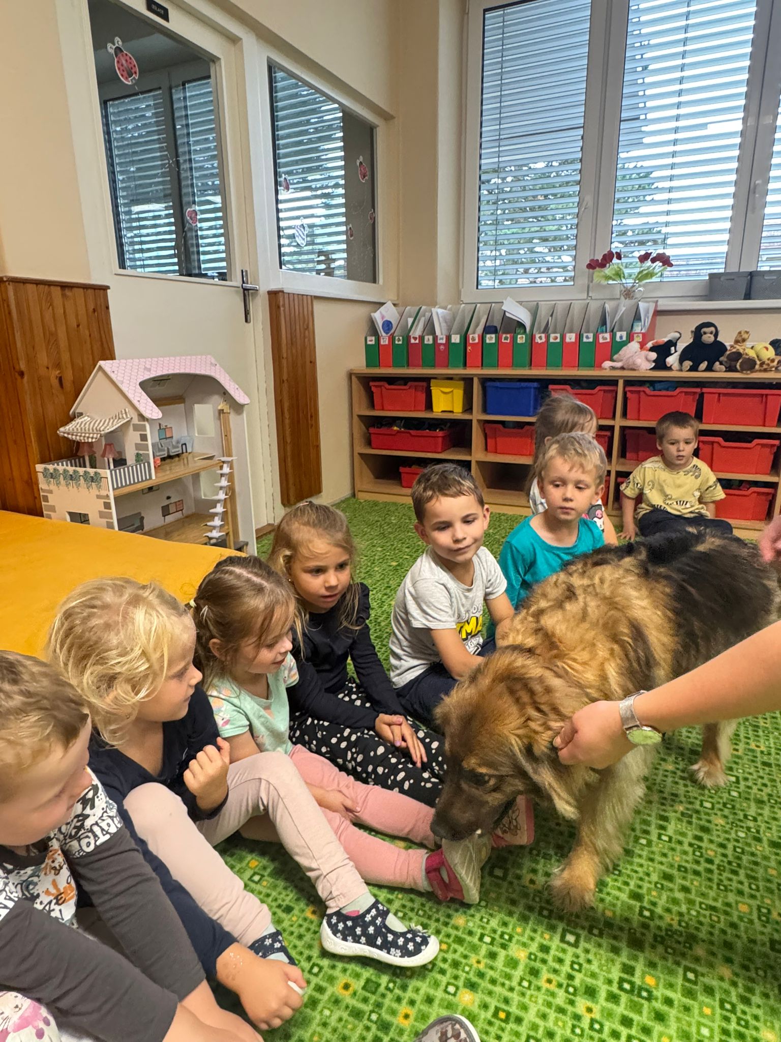 WhatsApp Image 2025-09-16 at 10.52.28