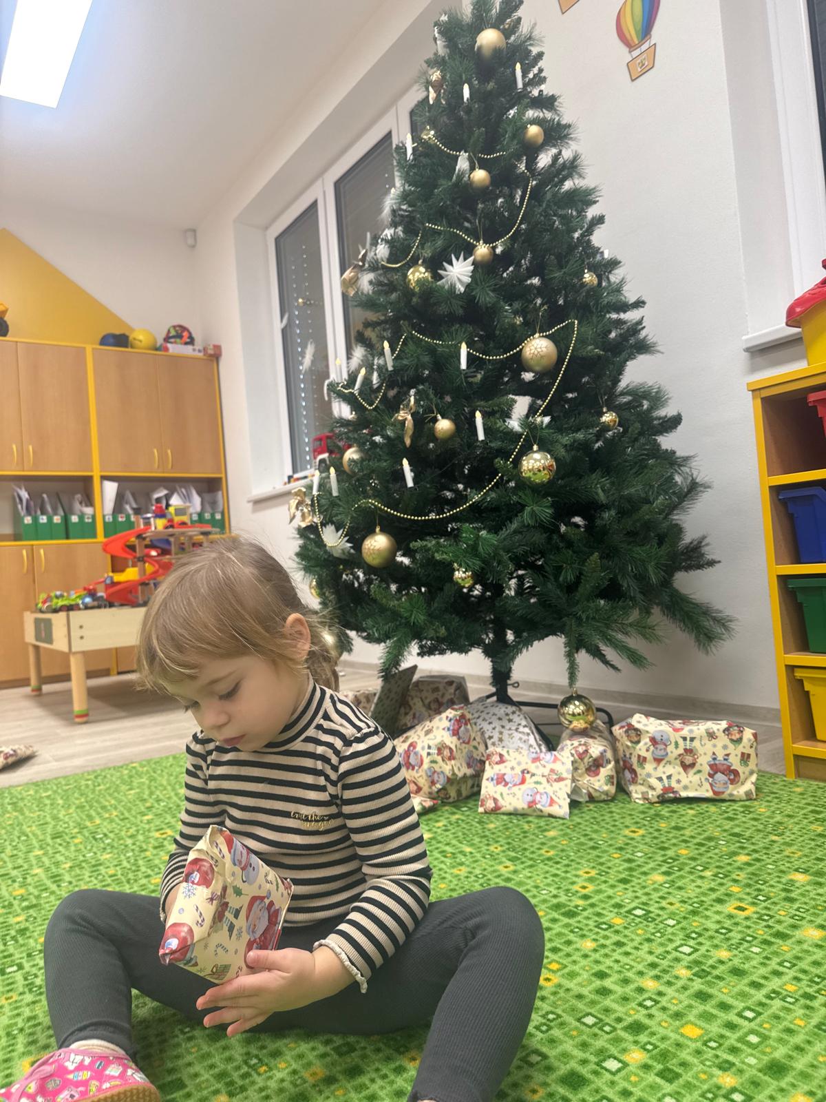 Obrázek WhatsApp, 2024-12-18 v 12.01.02_8efe3505