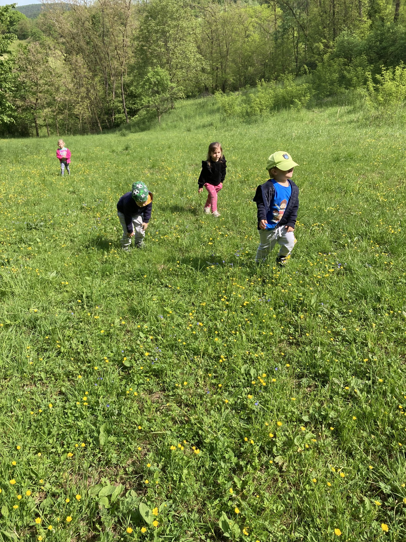 39DAAB82-F09B-433C-BC2A-D4C178994C78