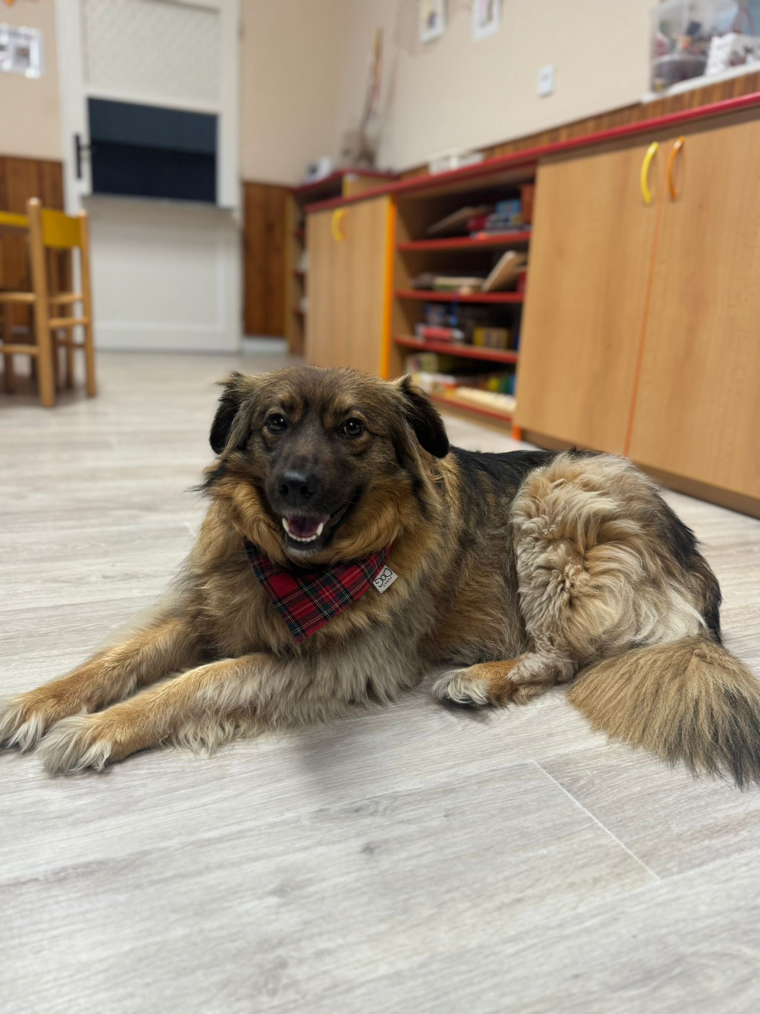 WhatsApp Image 2025-09-16 at 10.52.24 (2)