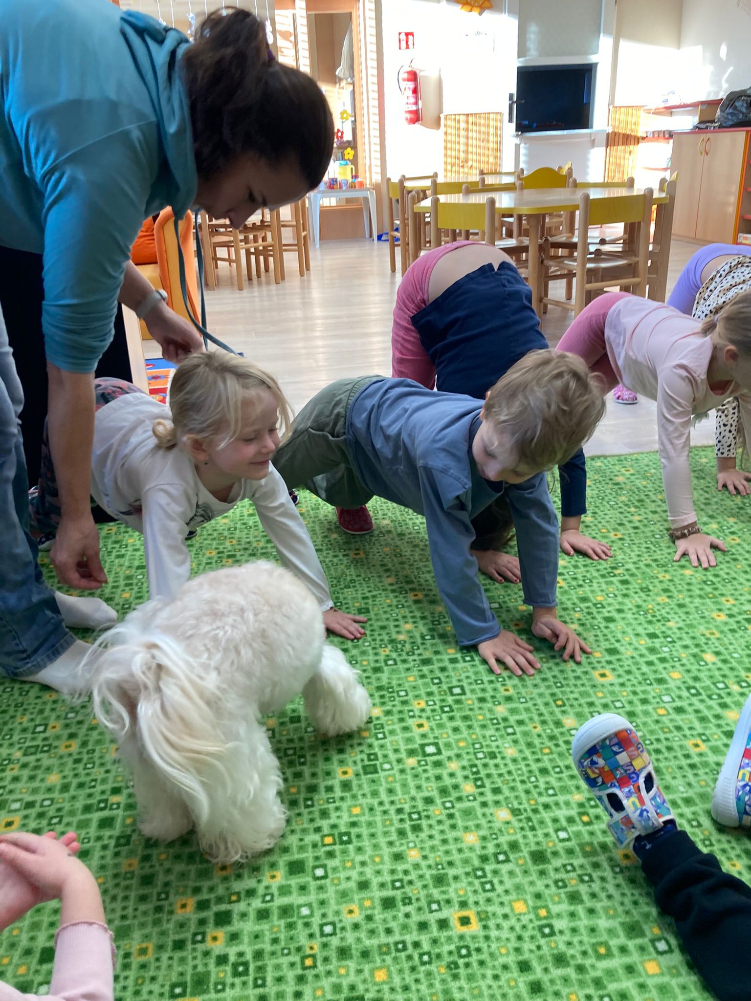 Obrázek WhatsApp, 2025-11-24 v 17.07.55_31ad1f7f