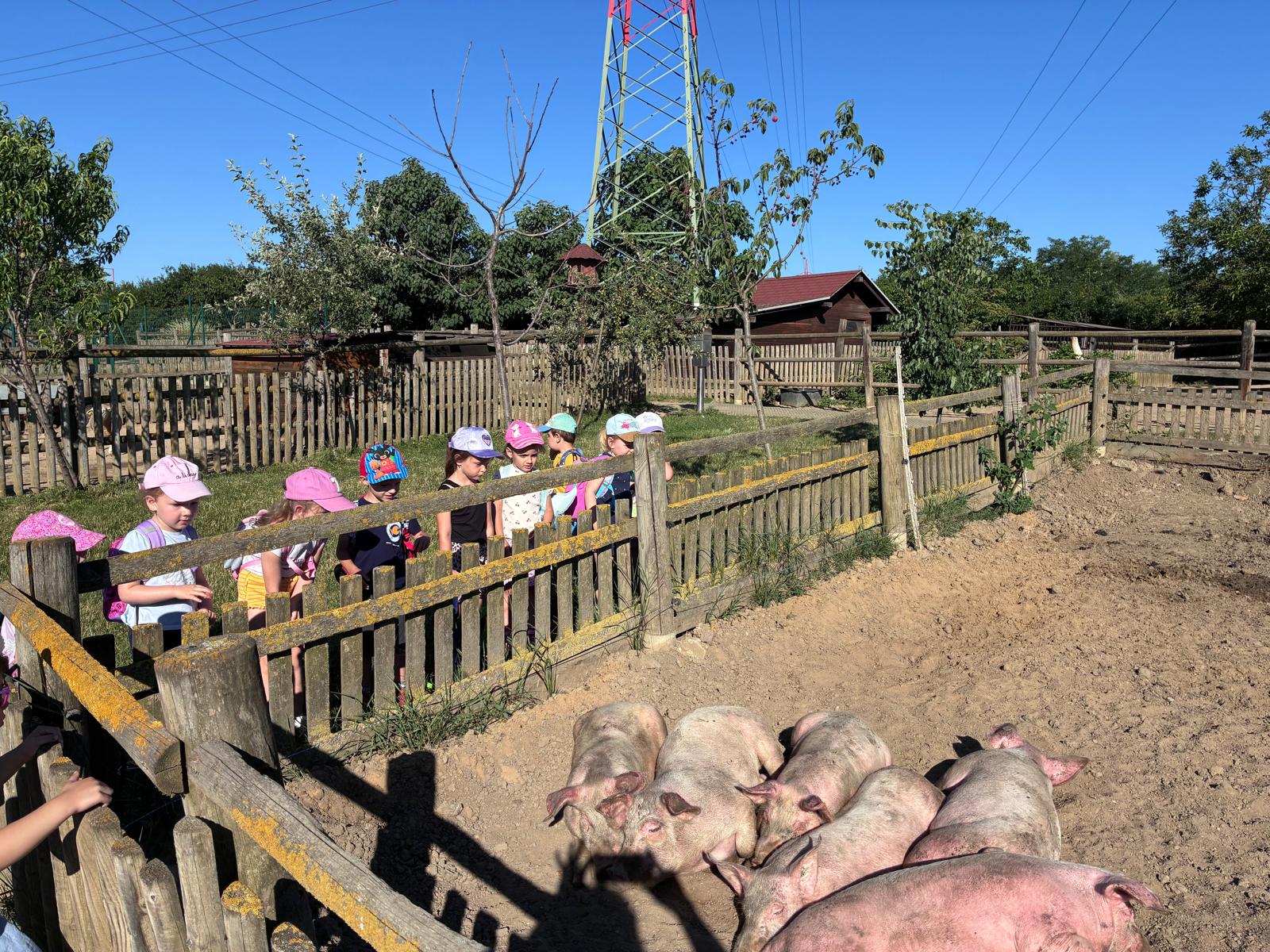 WhatsApp Image 2026-06-25 at 17.10.43 (4)