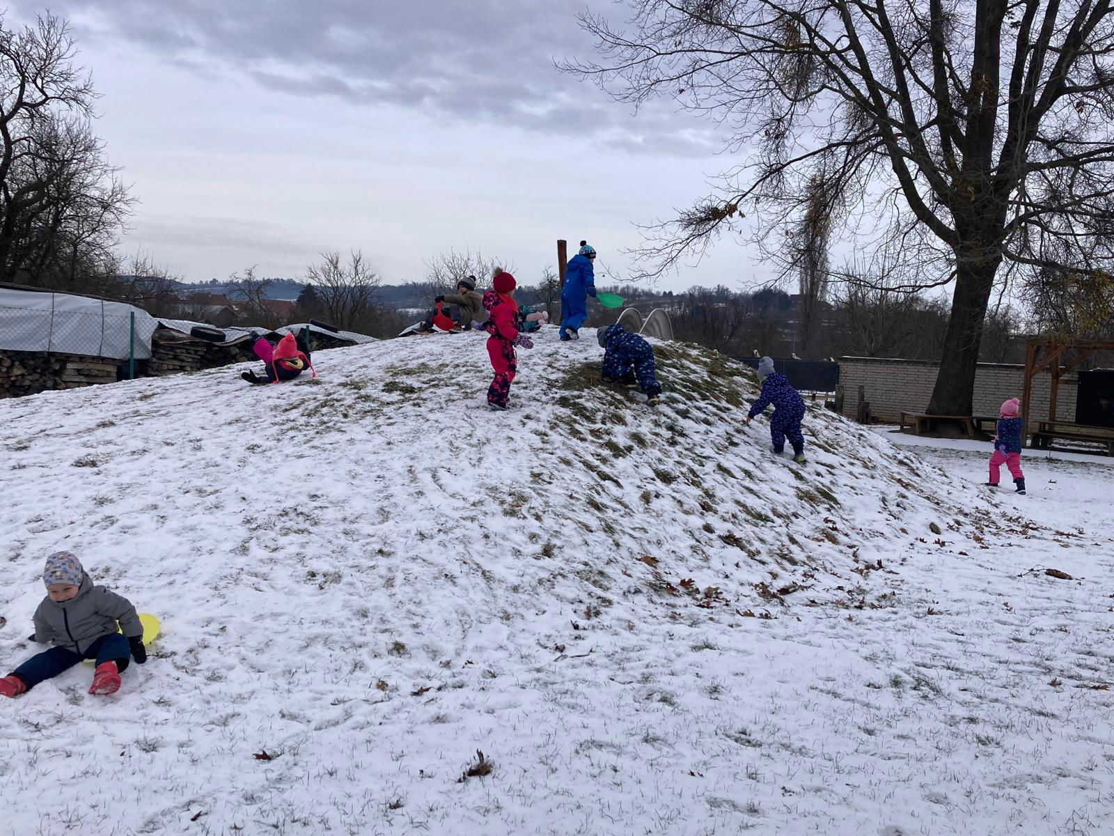 WhatsApp Image 2026-02-04 at 23.02.48 (3)