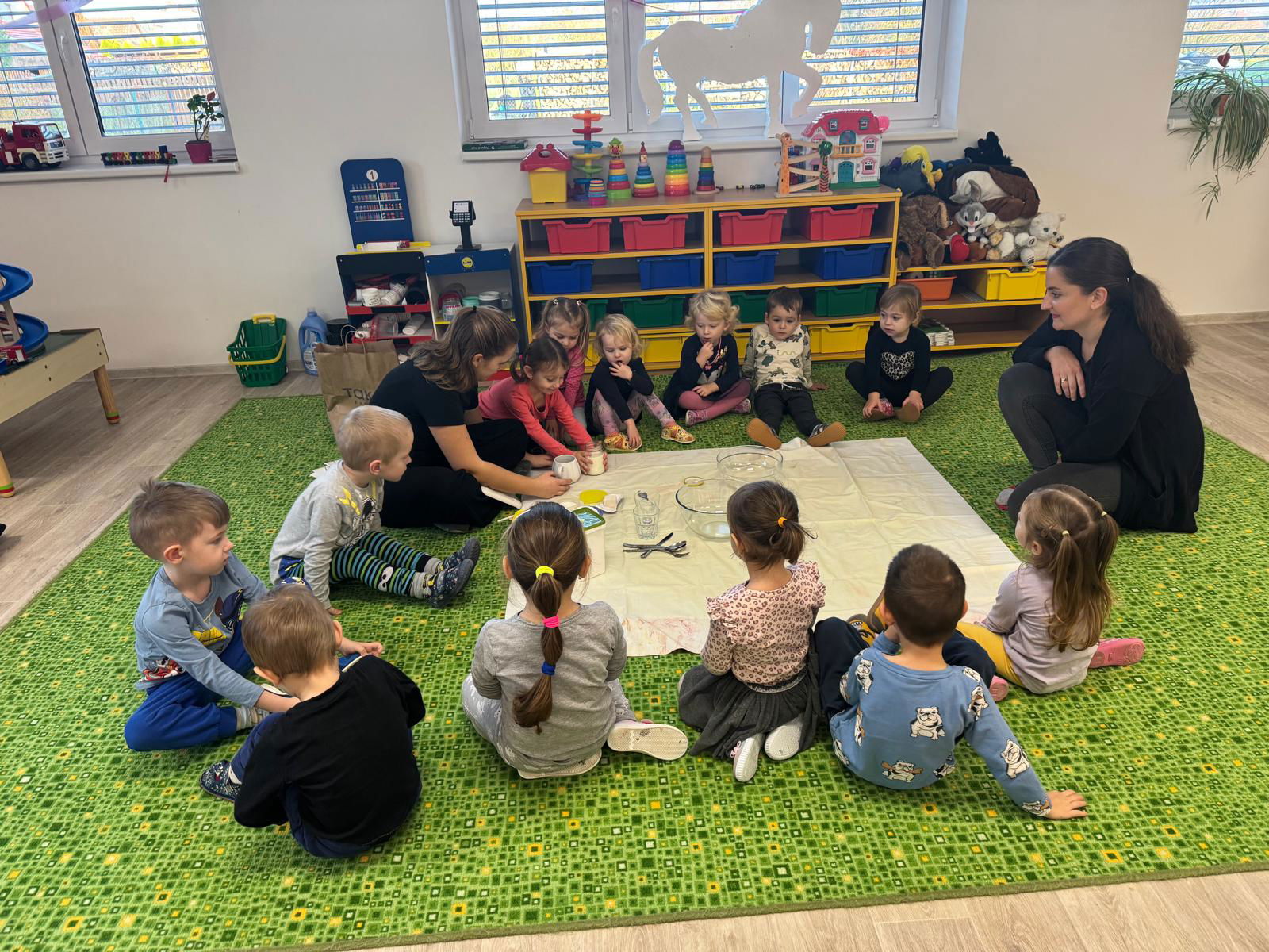 Obrázek WhatsApp, 2024-11-14 v 08.01.09_fb0d00be