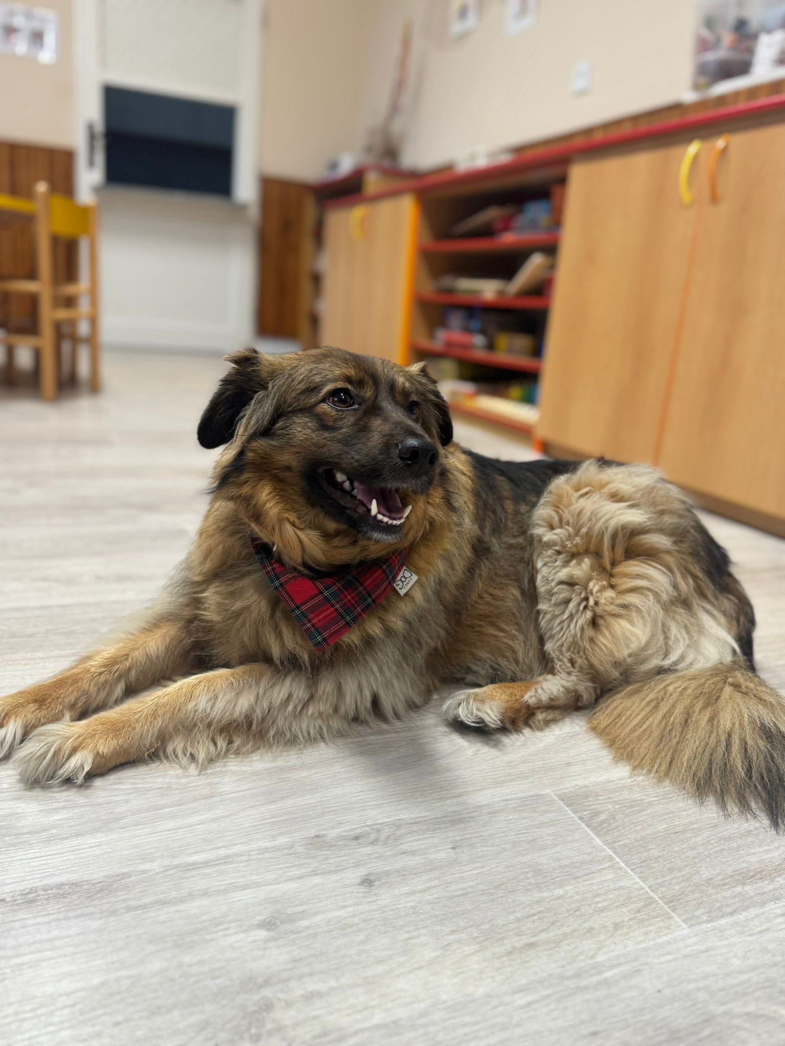 WhatsApp Image 2025-09-16 at 10.52.24 (1)