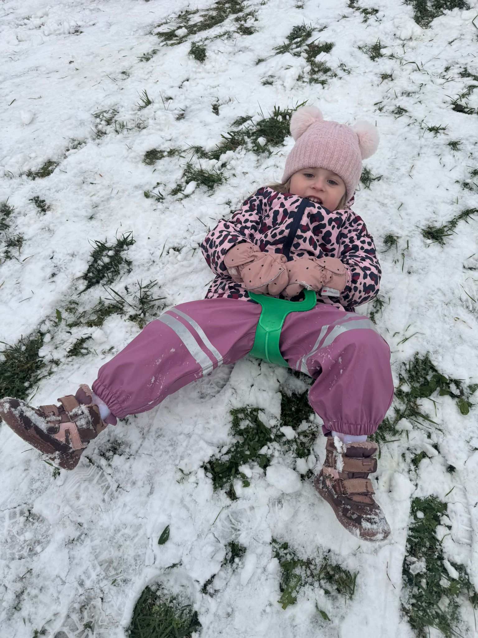 Obrázek WhatsApp, 2025-11-24 v 12.08.40_2ff74761