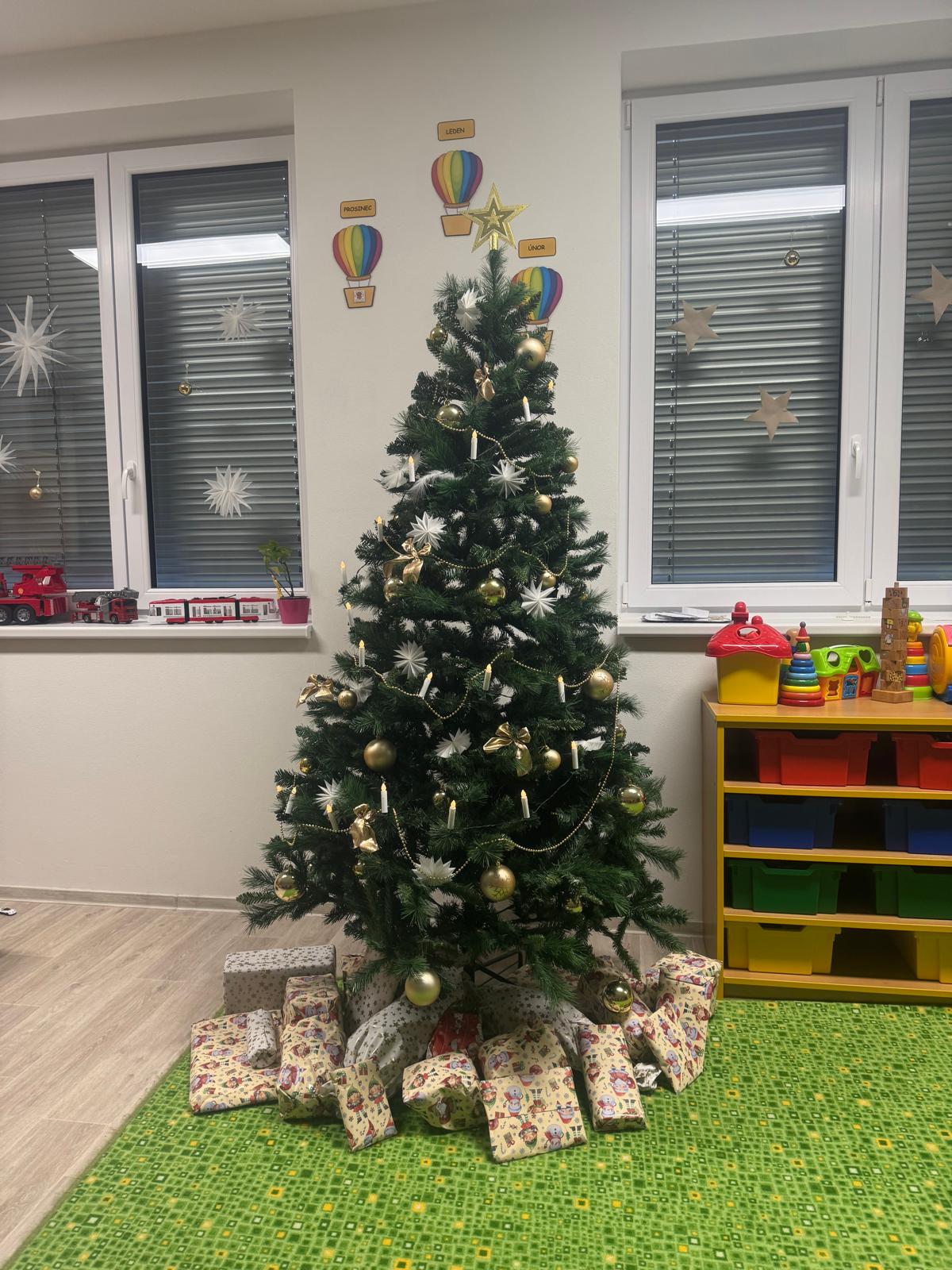 Obrázek WhatsApp, 2024-12-18 v 12.00.59_caa2d051