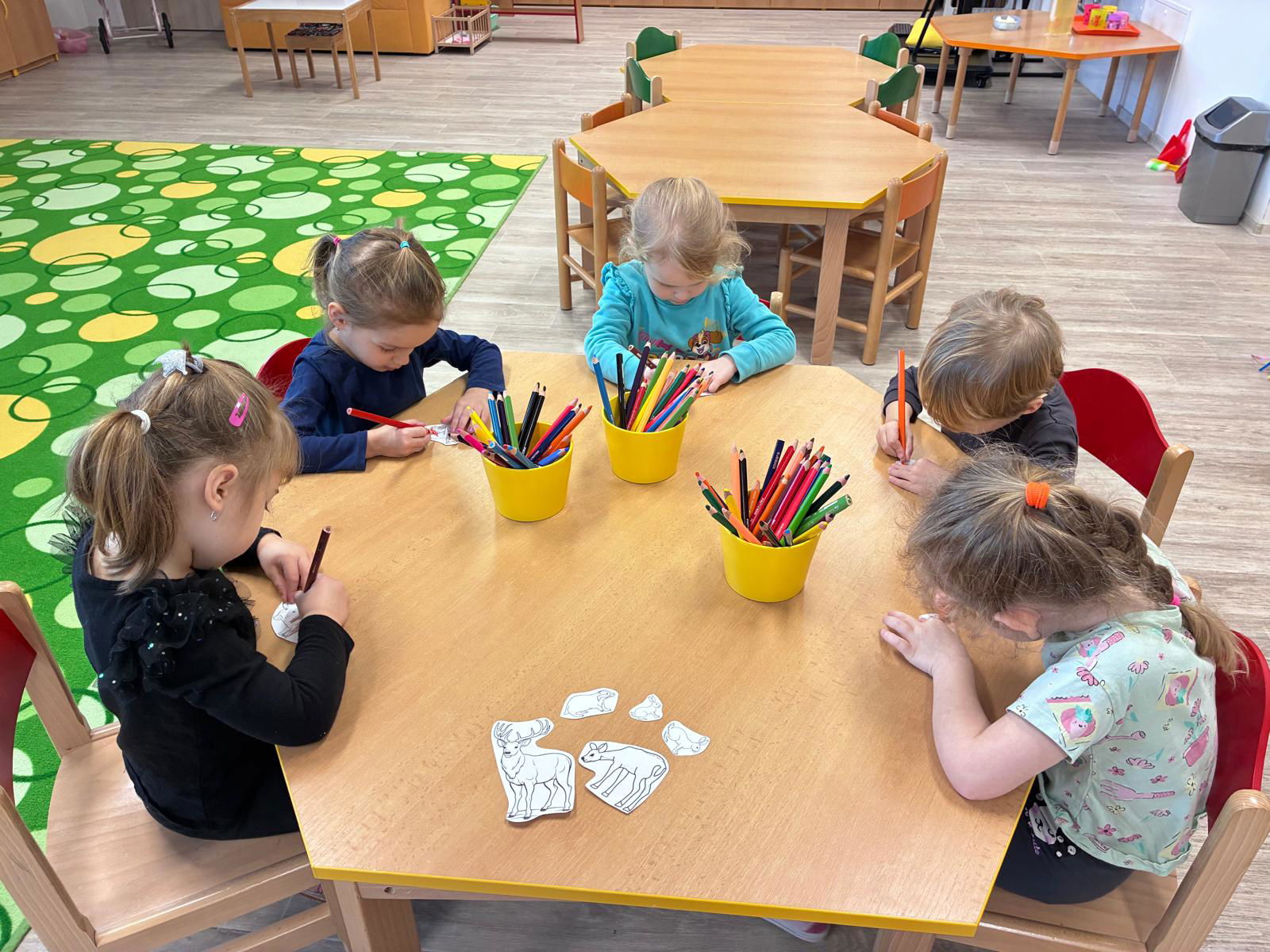 WhatsApp Image 2026-02-08 at 16.58.24 (7)