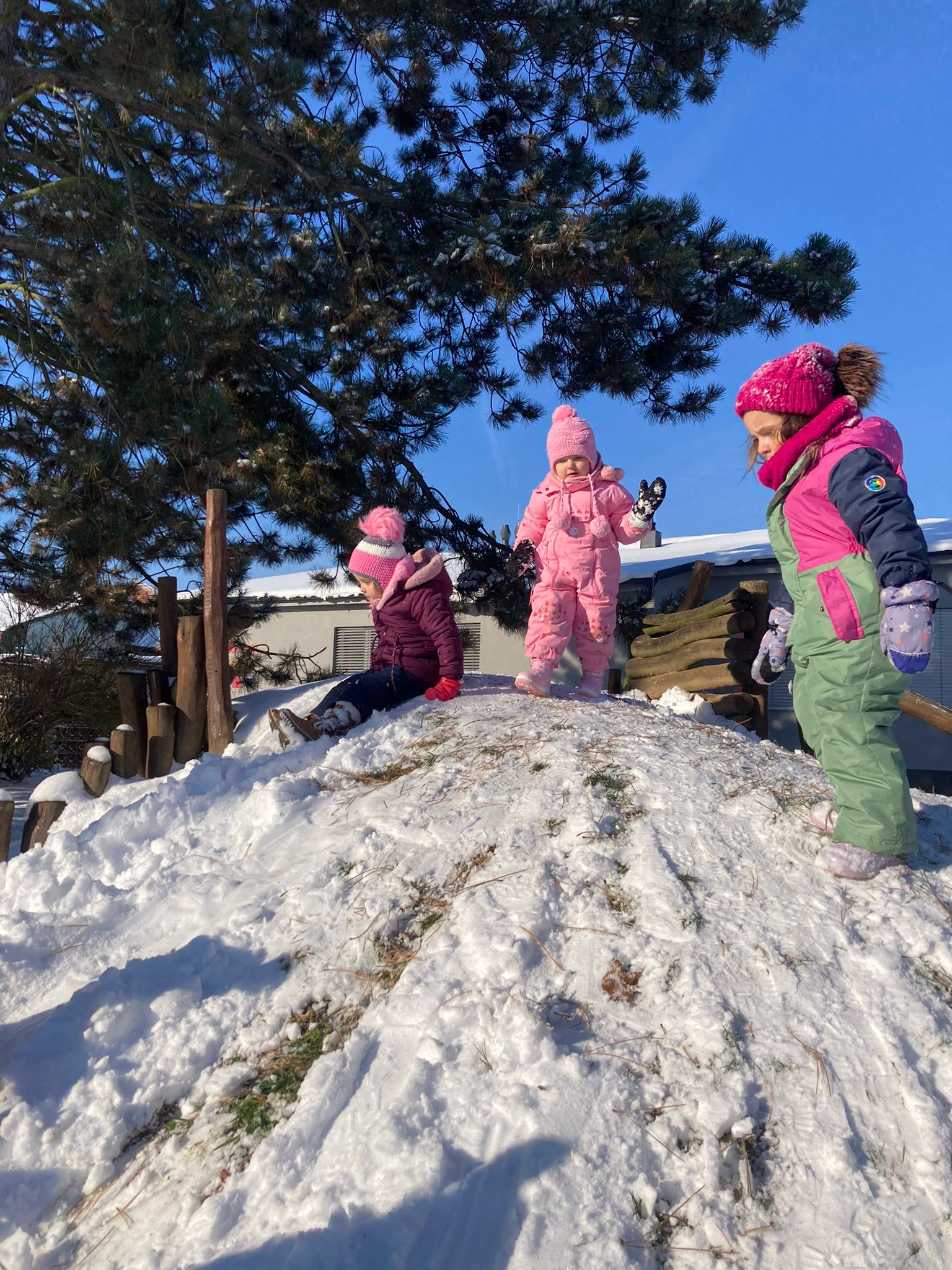 Obrázek WhatsApp, 2023-12-11 v 10.25.49_ca4aa125