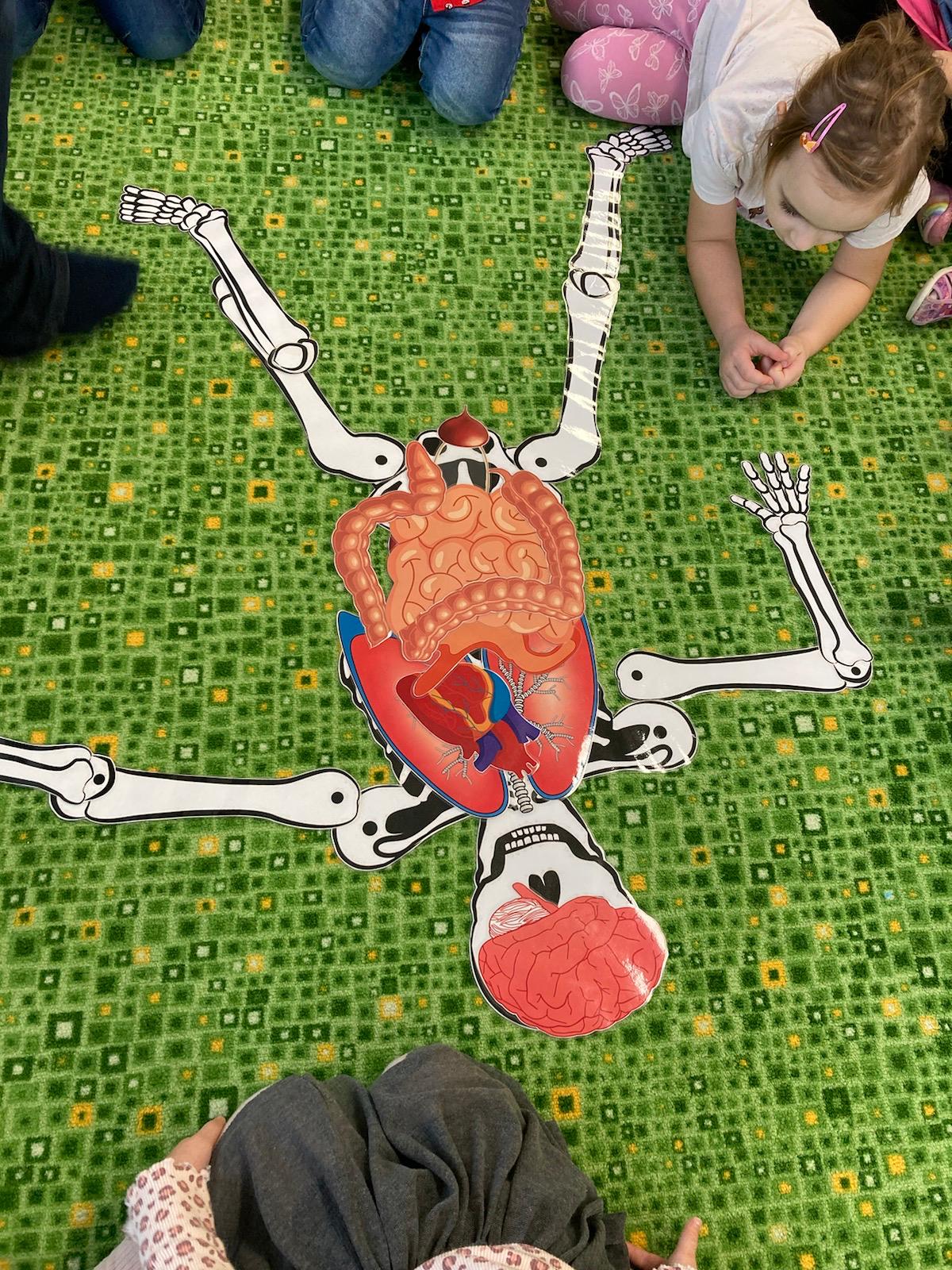 Obrázek WhatsApp, 2024-11-01 v 07.14.38_9b7a0d79