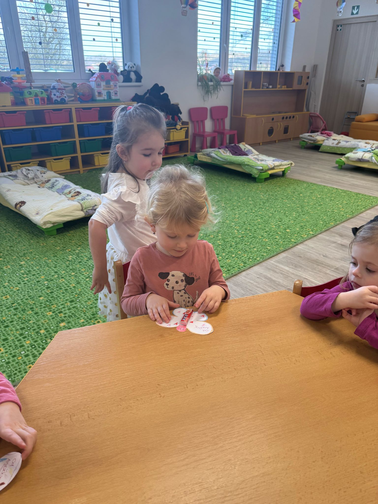 Obrázek WhatsApp, 2025-02-26 v 10.34.19_133d43d7