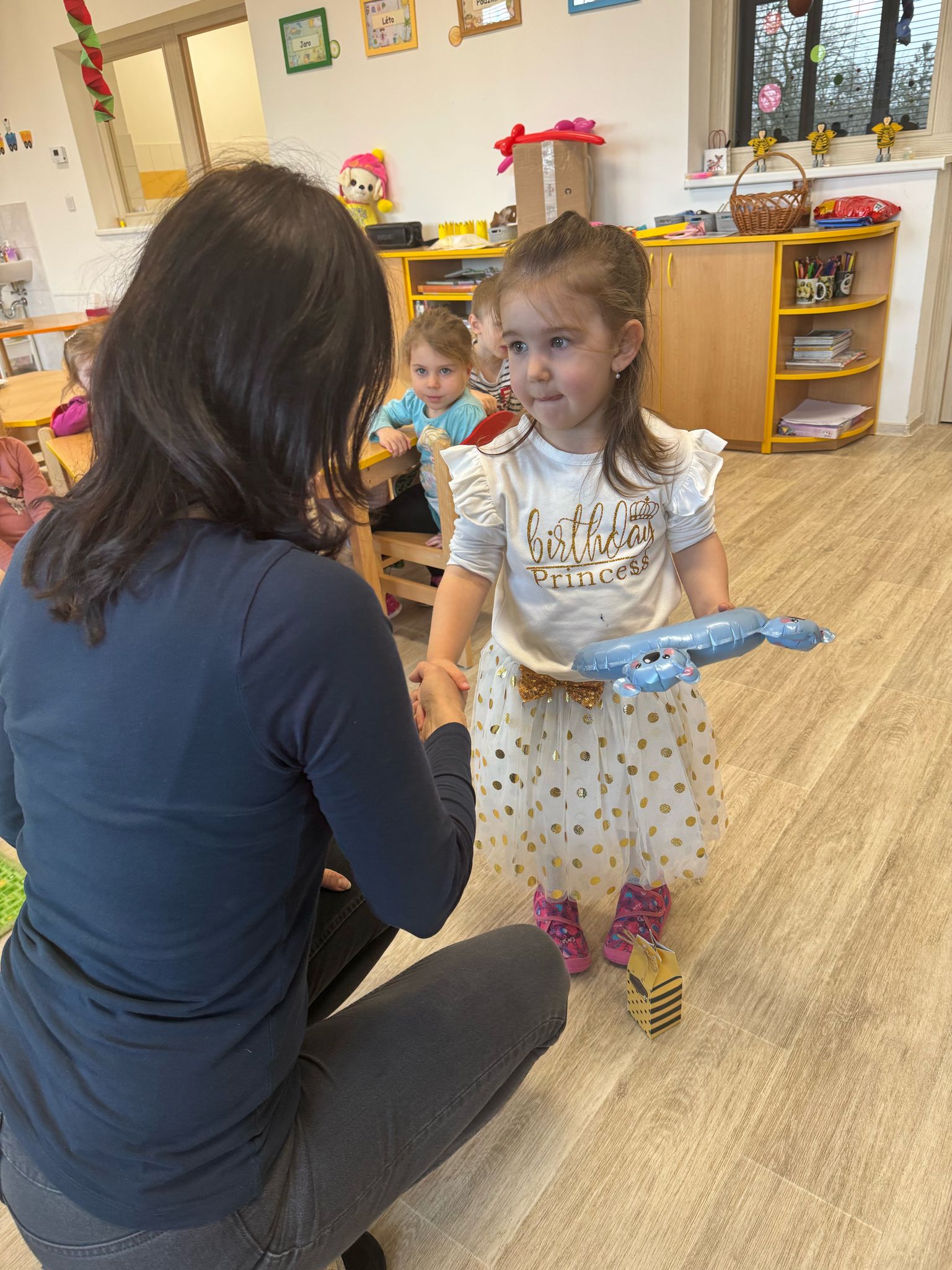 Obrázek WhatsApp, 2025-02-26 v 10.34.18_82cdd9ea