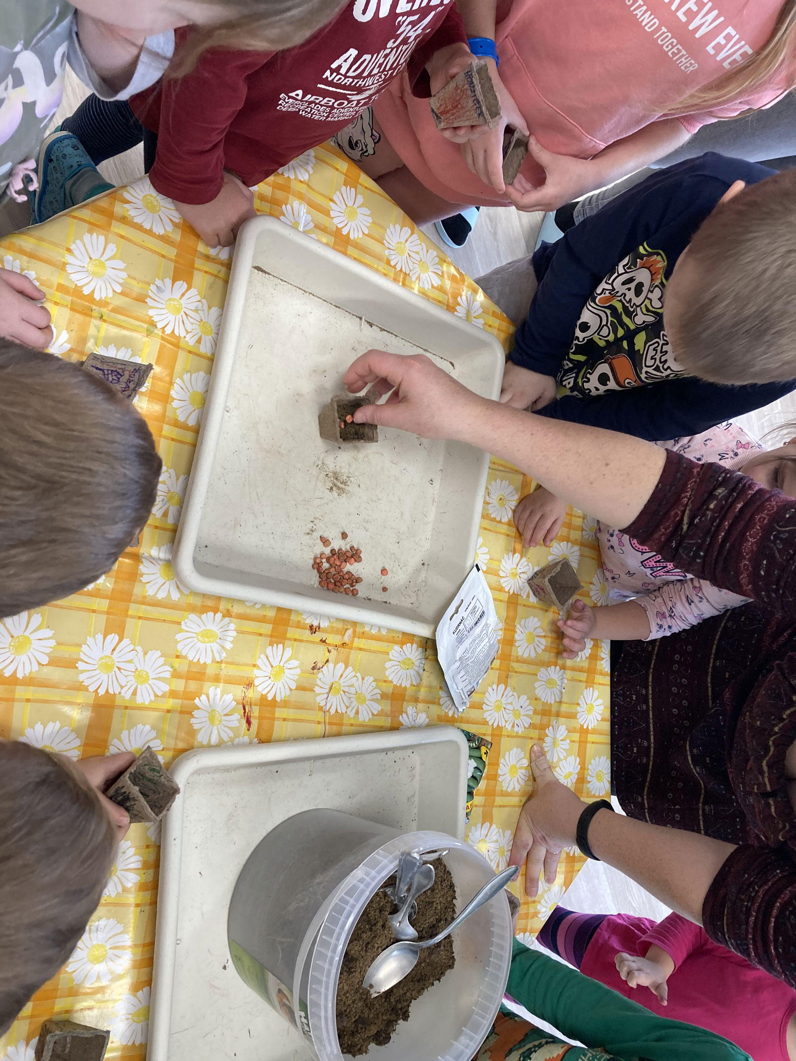 7A59BA76-163C-43FA-99FD-A99D5AAA5BA7