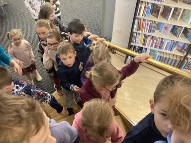 knihovna 2025
