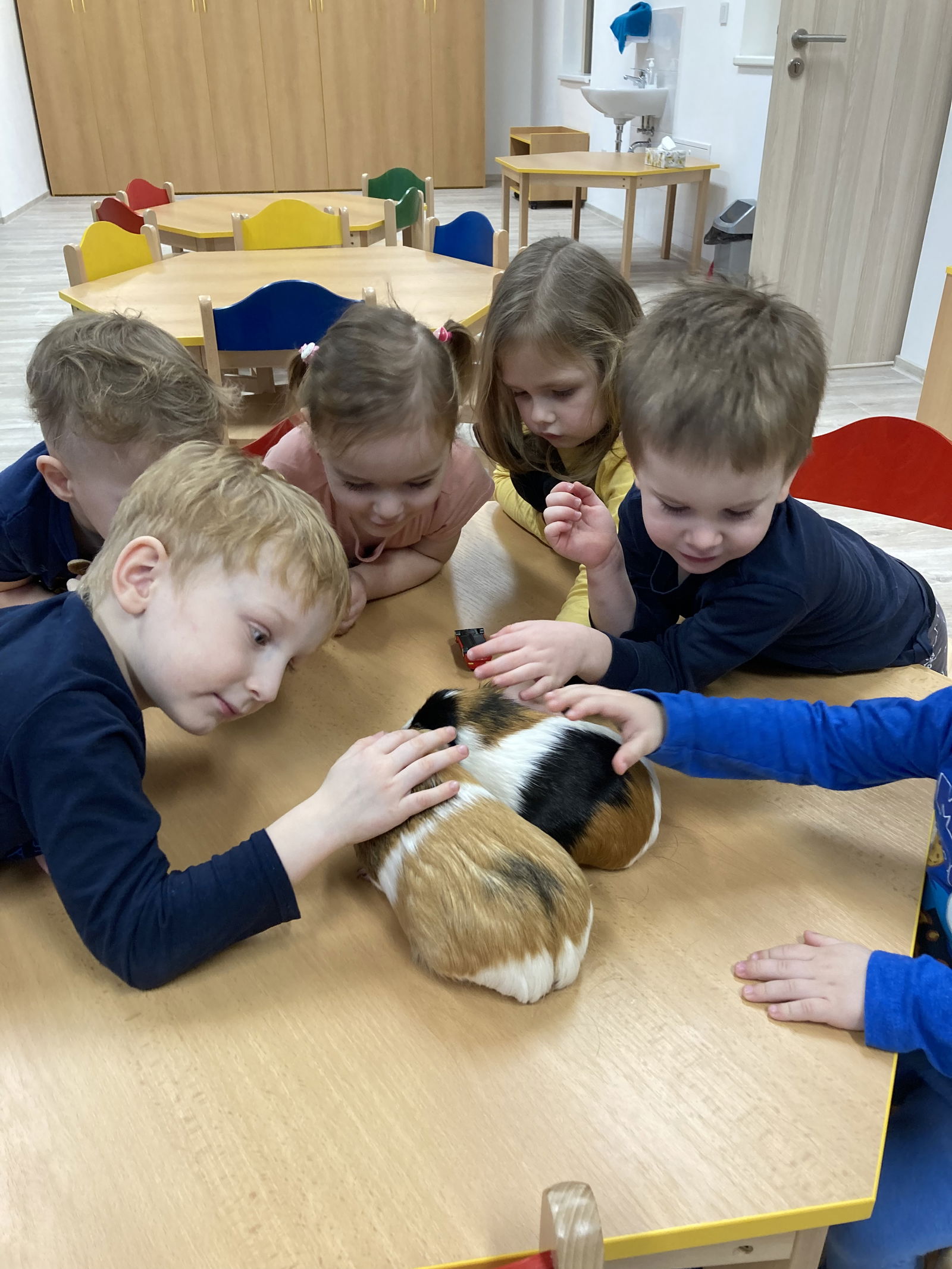 B6A1EE36-5E96-4228-8BB7-DEFFCD6ADE15