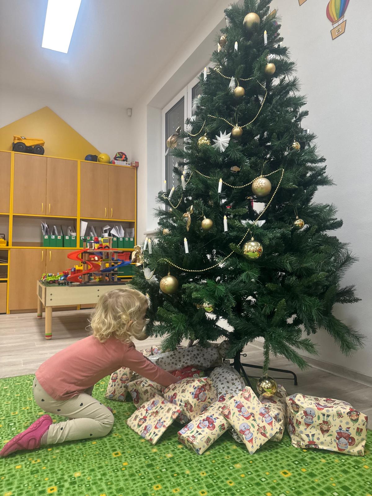 Obrázek WhatsApp, 2024-12-18 v 12.01.02_d52fdb8a