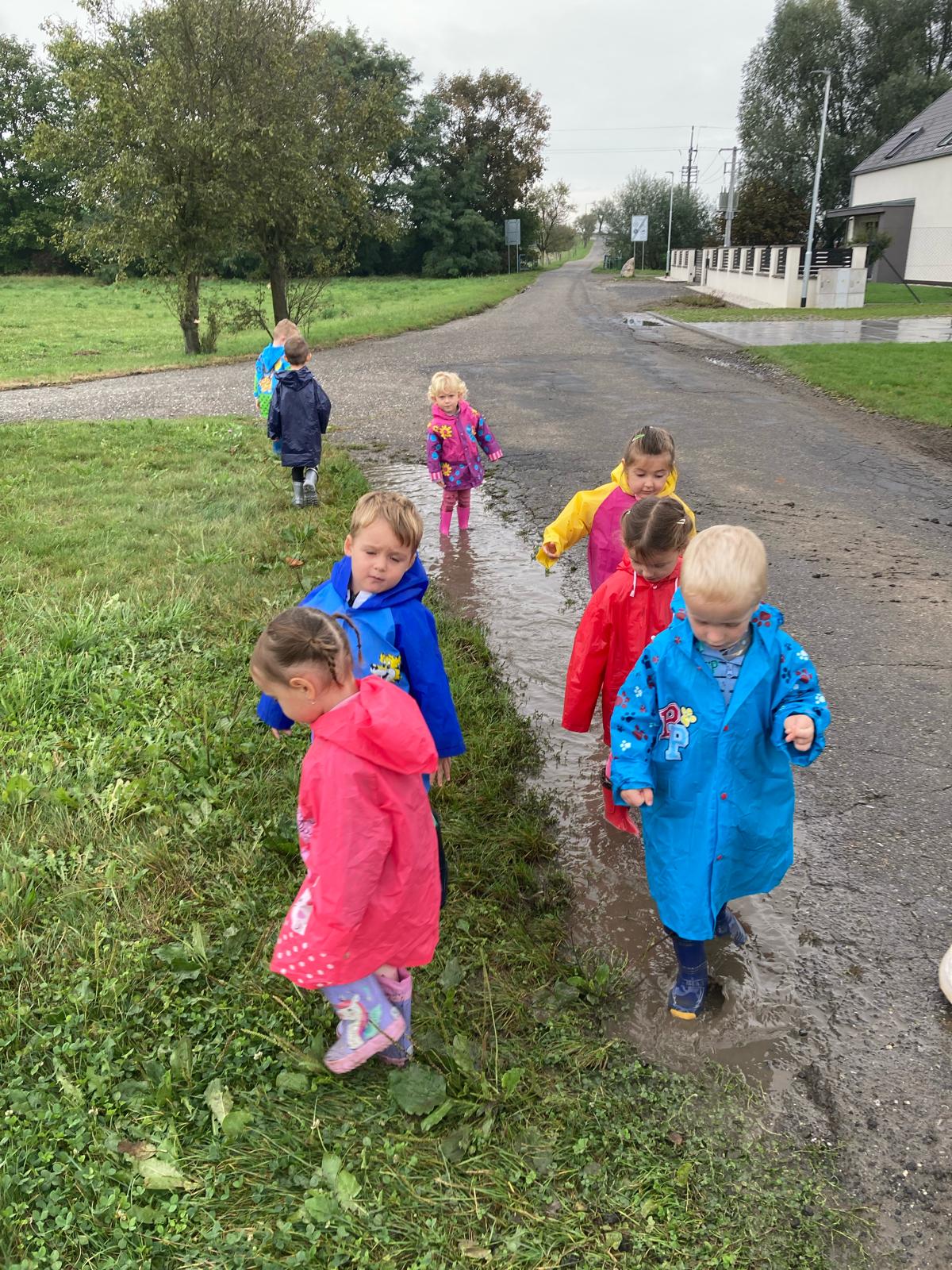 Obrázek WhatsApp, 2024-11-14 v 08.14.24_e70d2add