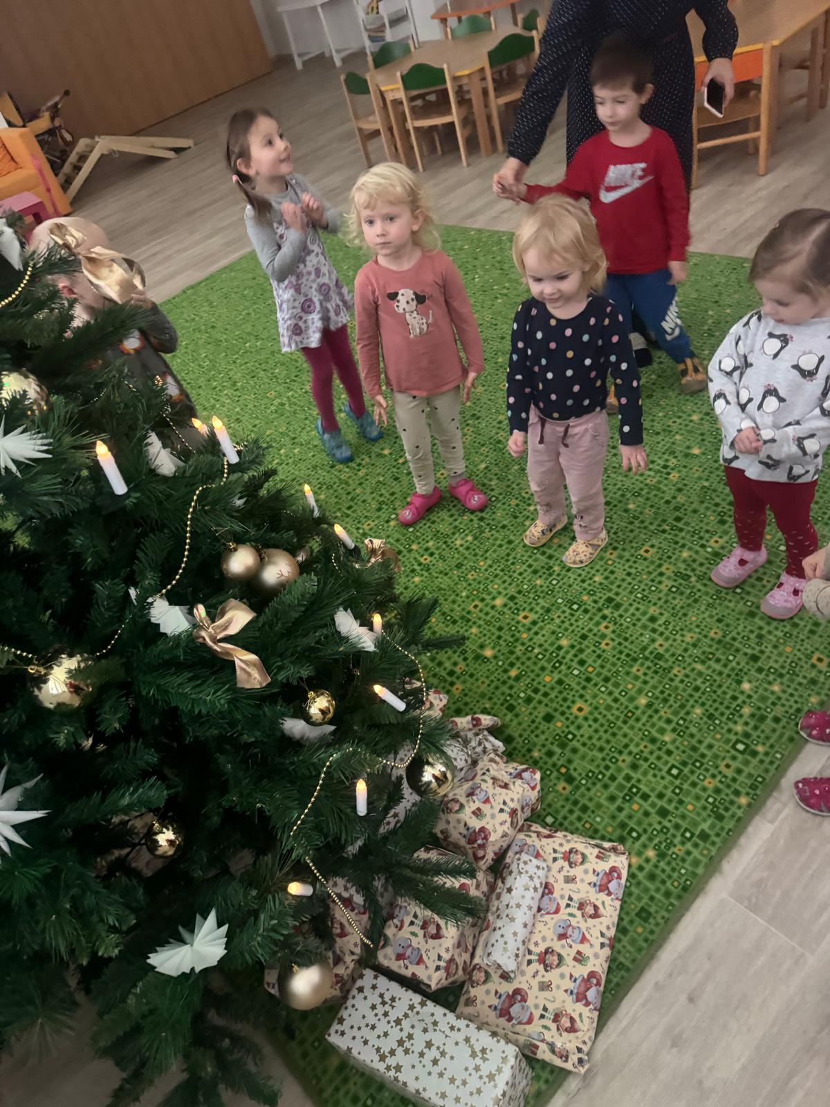 Obrázek WhatsApp, 2024-12-18 v 12.01.00_0e2208e5