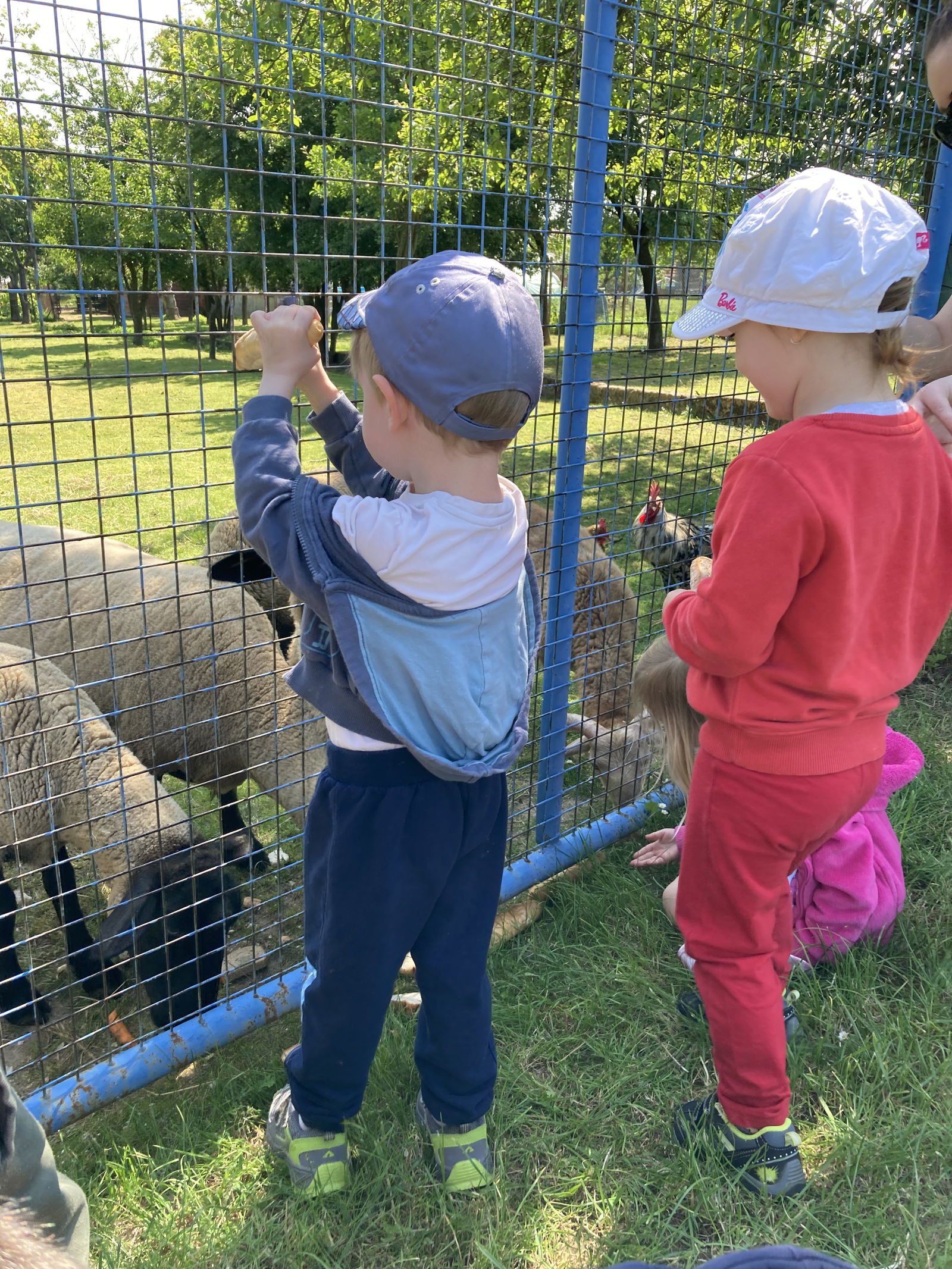 B41A0D4B-3FEC-436E-9DE9-796442026B9B